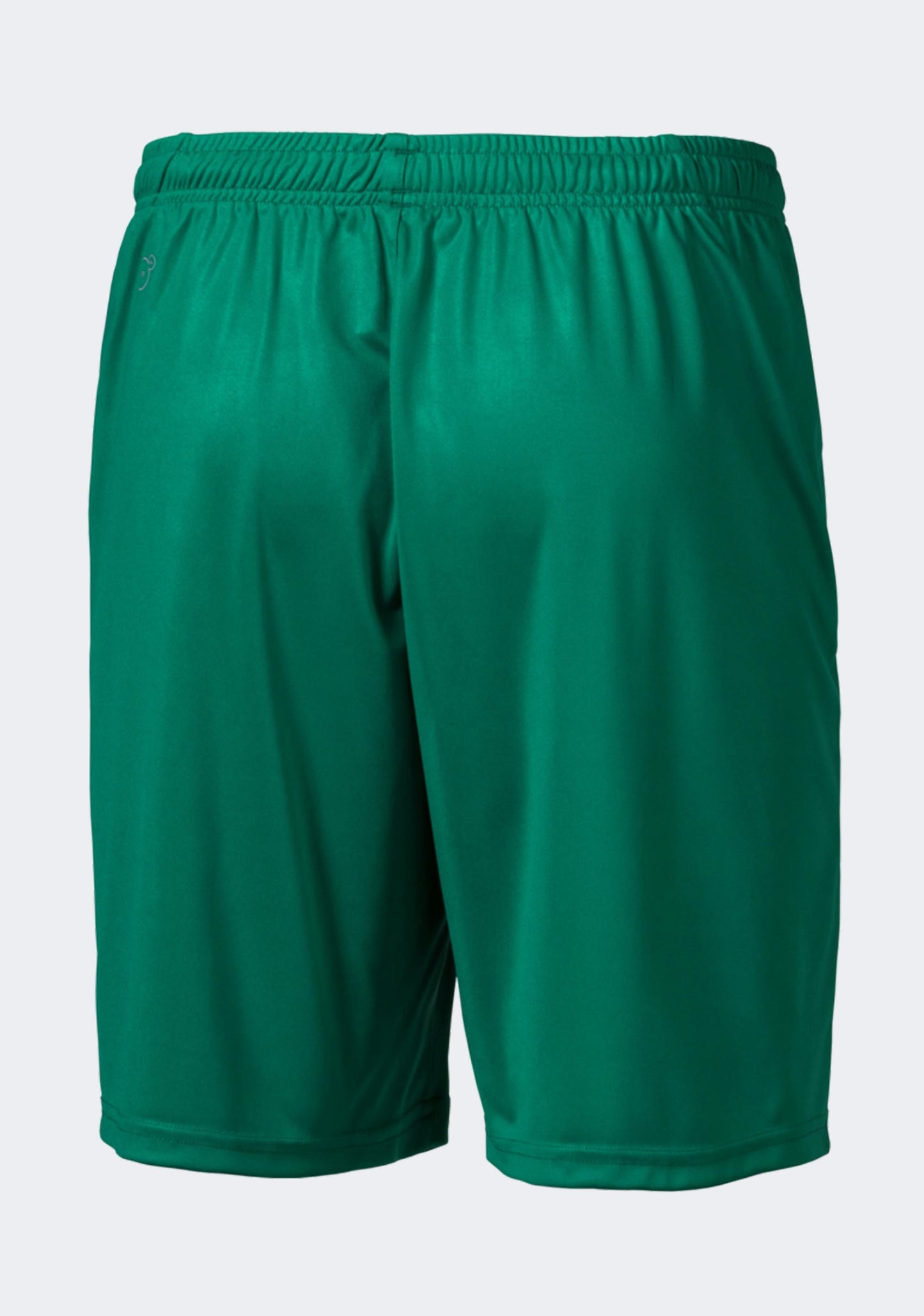 Puma Men's Liga Core Shorts