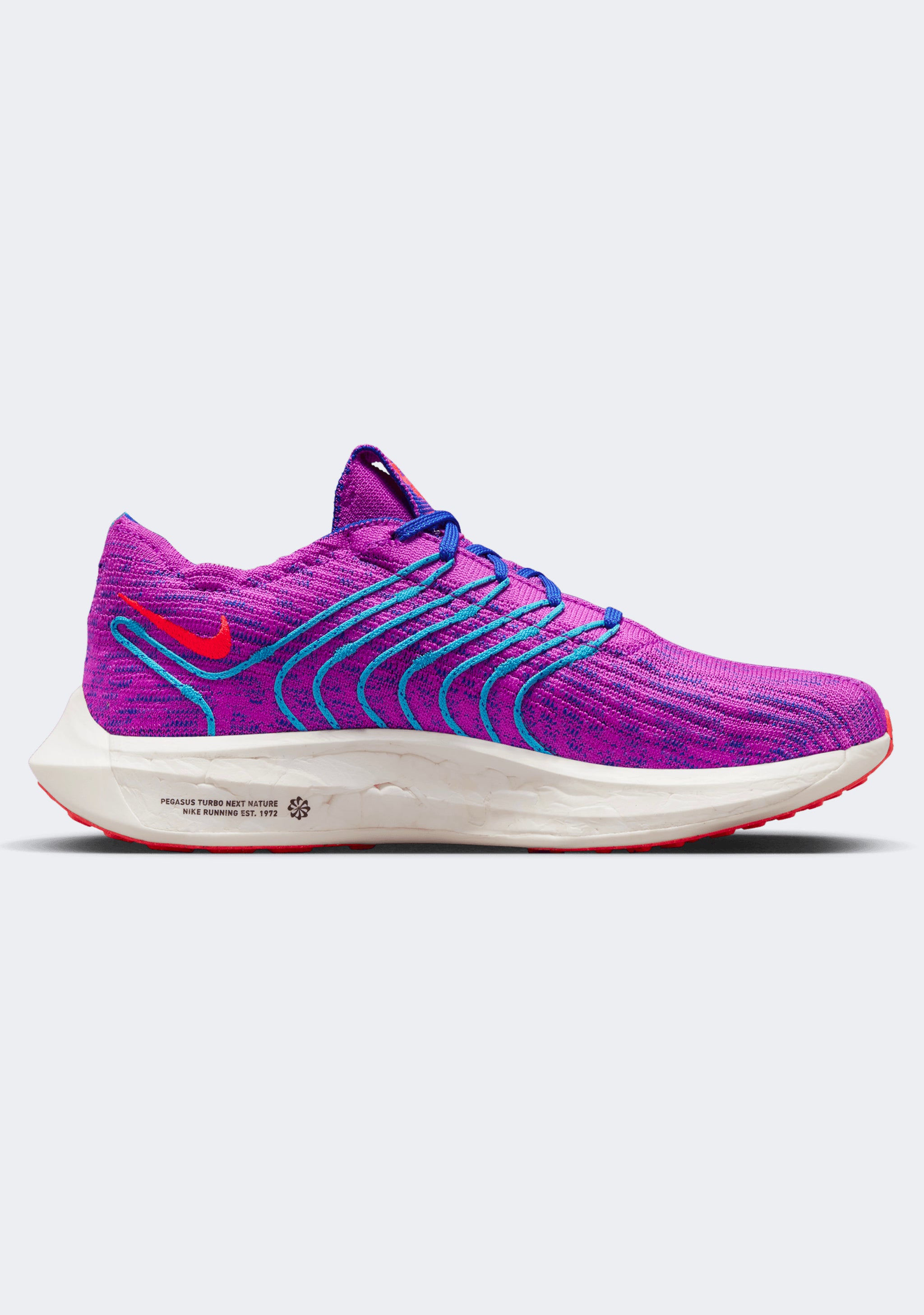 Nike Women’s Pegasus Turbo Next Nature
