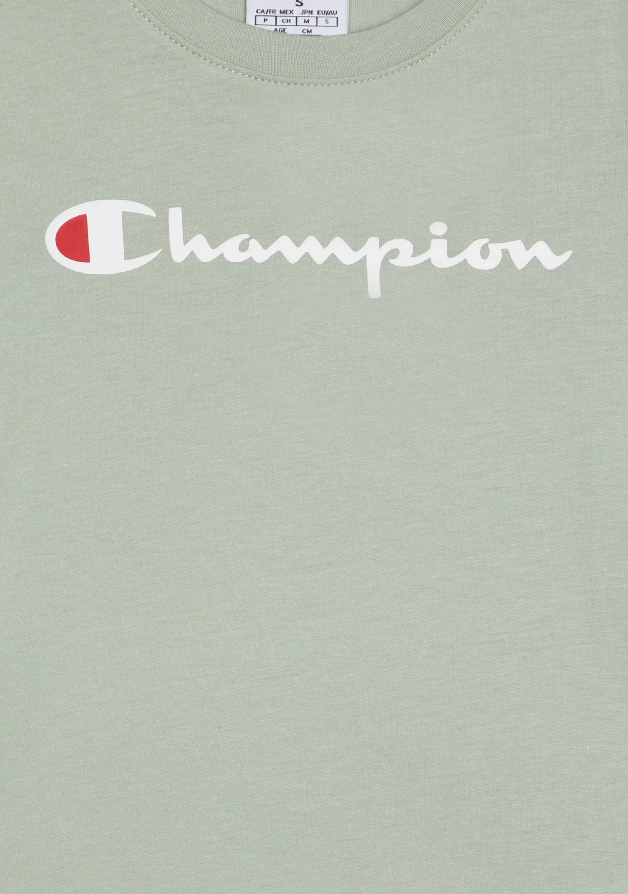 Champion Men's Script Logo Short Sleeve Clever Sage
