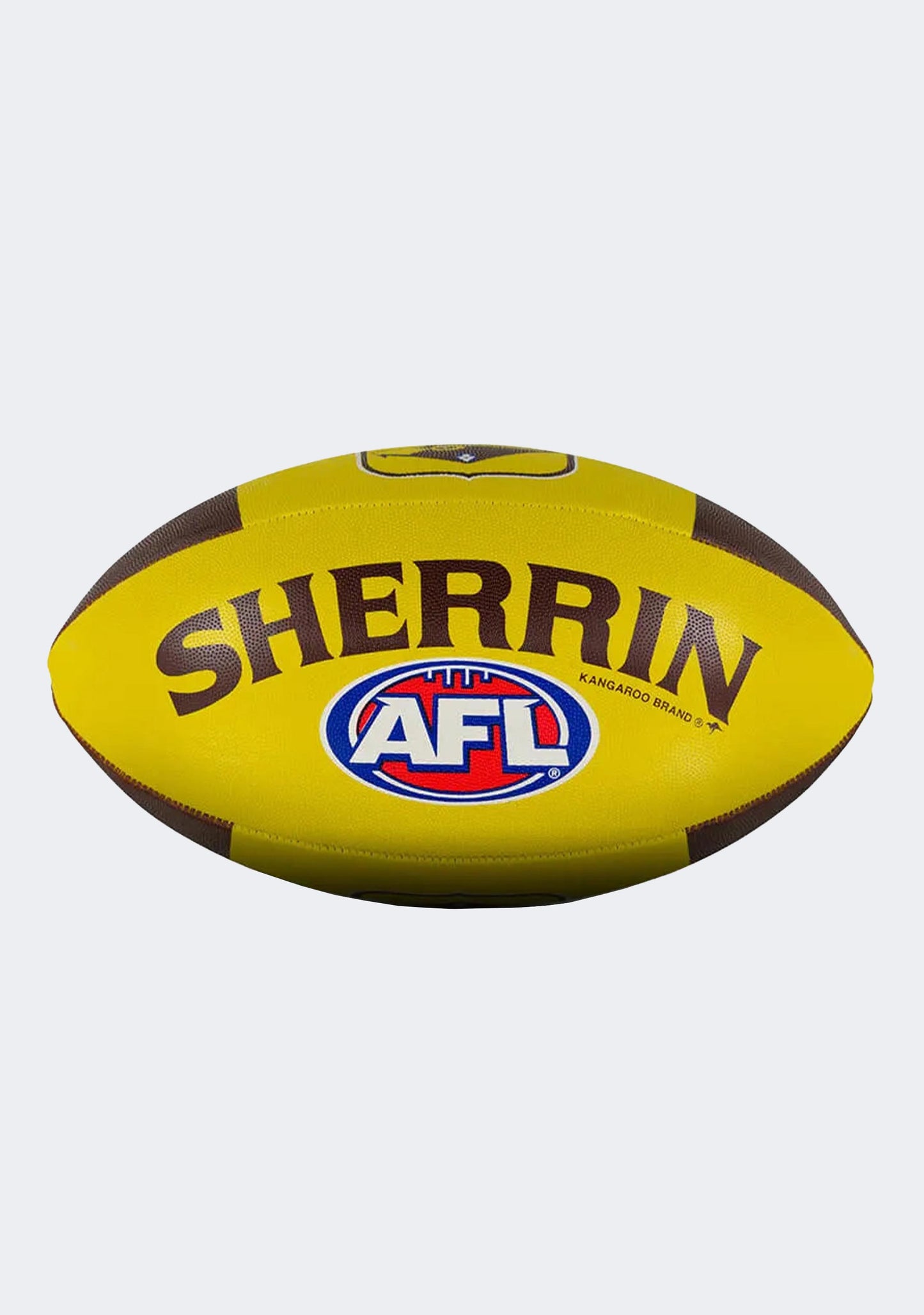 Sherrin Hawthorn Hawks All Surface Football