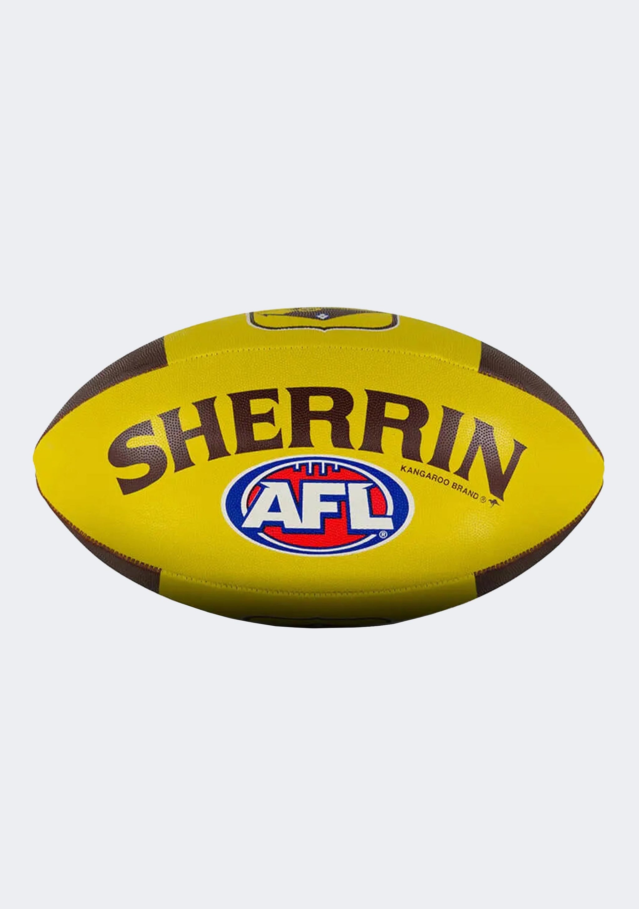 Sherrin Hawthorn Hawks All Surface Football