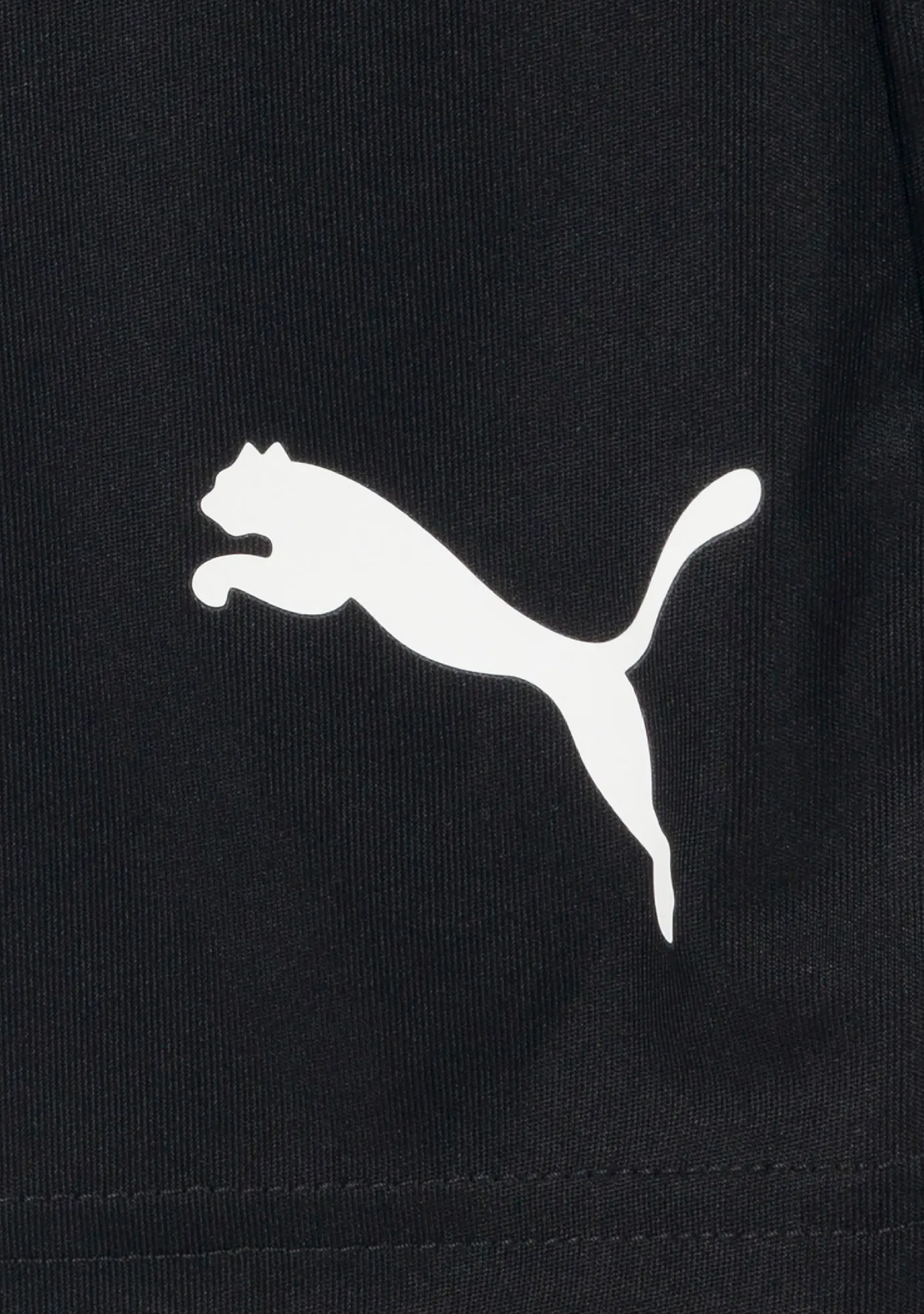 Puma Men's Team Liga Shorts