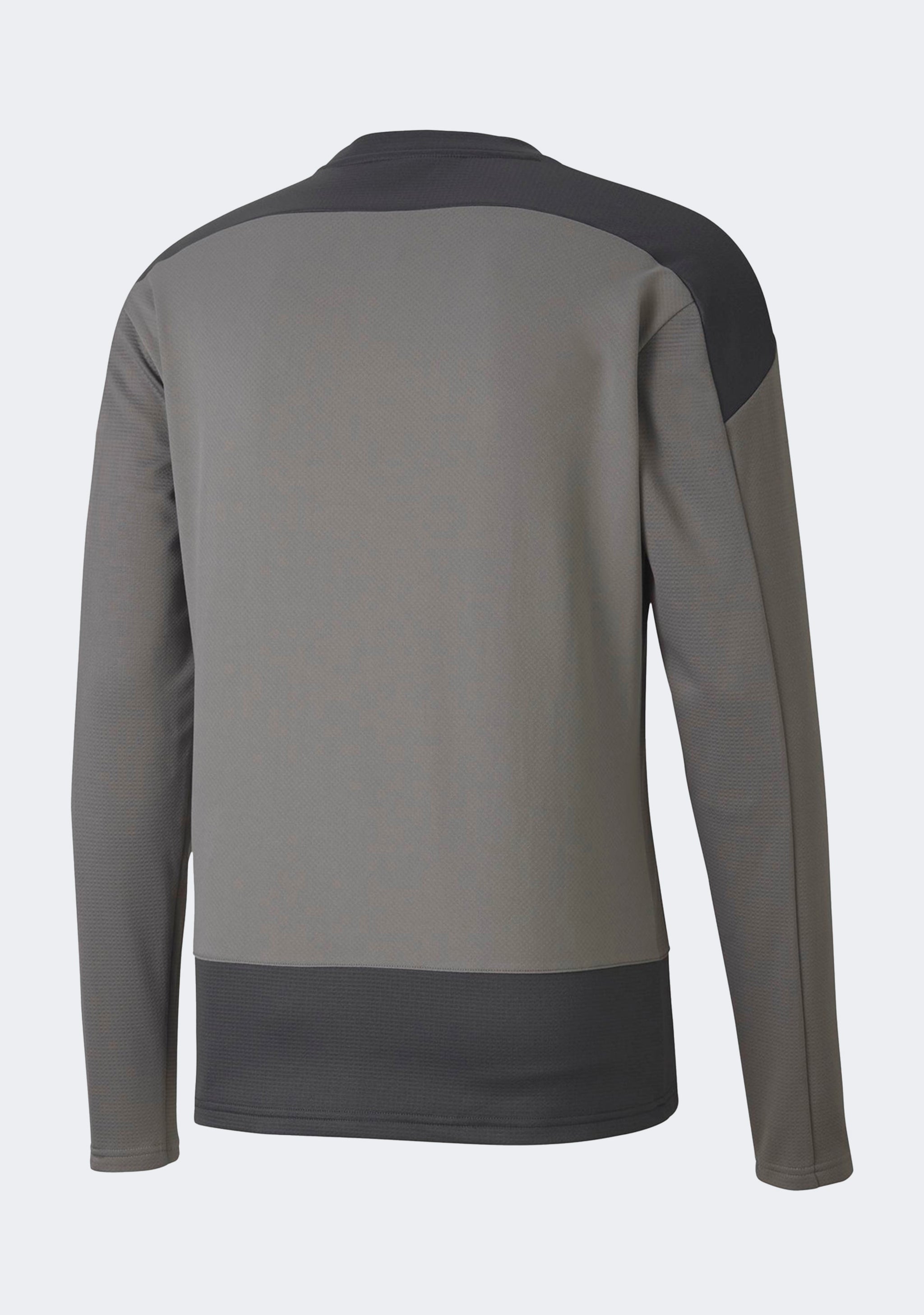 Puma Men's TeamGOAL 23 Training Sweatshirt
