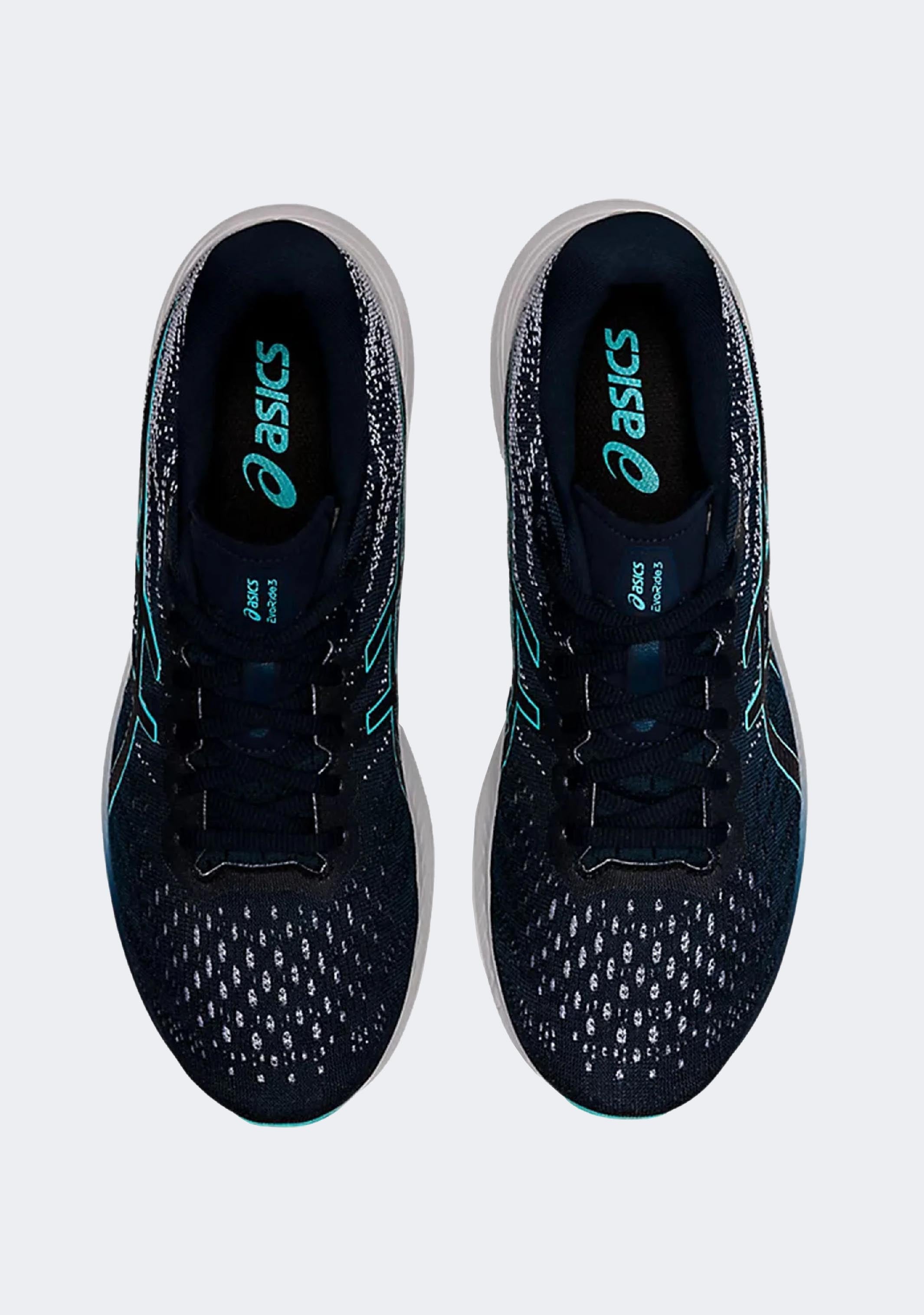 Asics Men's Evoride 3 – Jim Kidd Sports