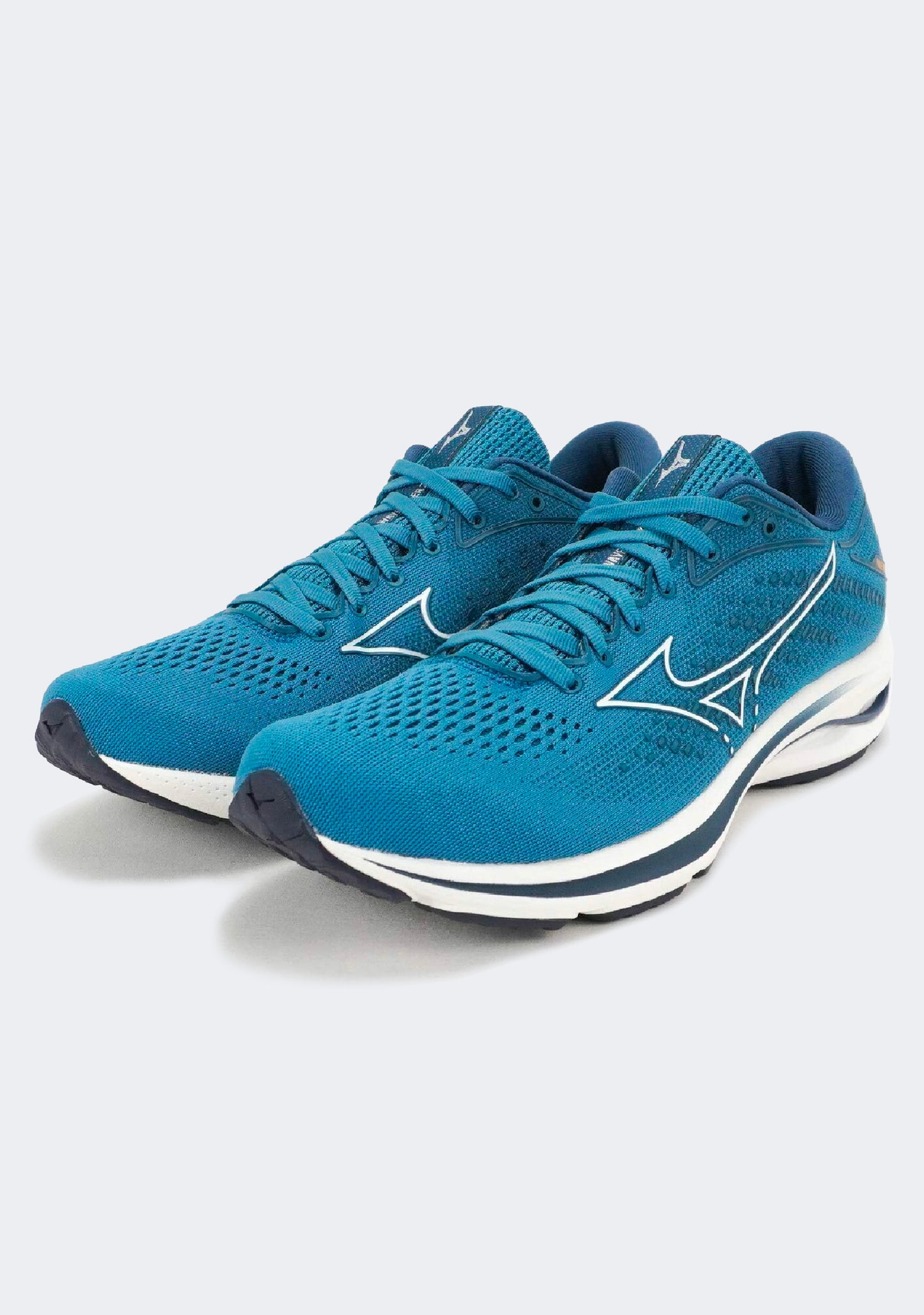 Mizuno Men’s Wave Rider 25