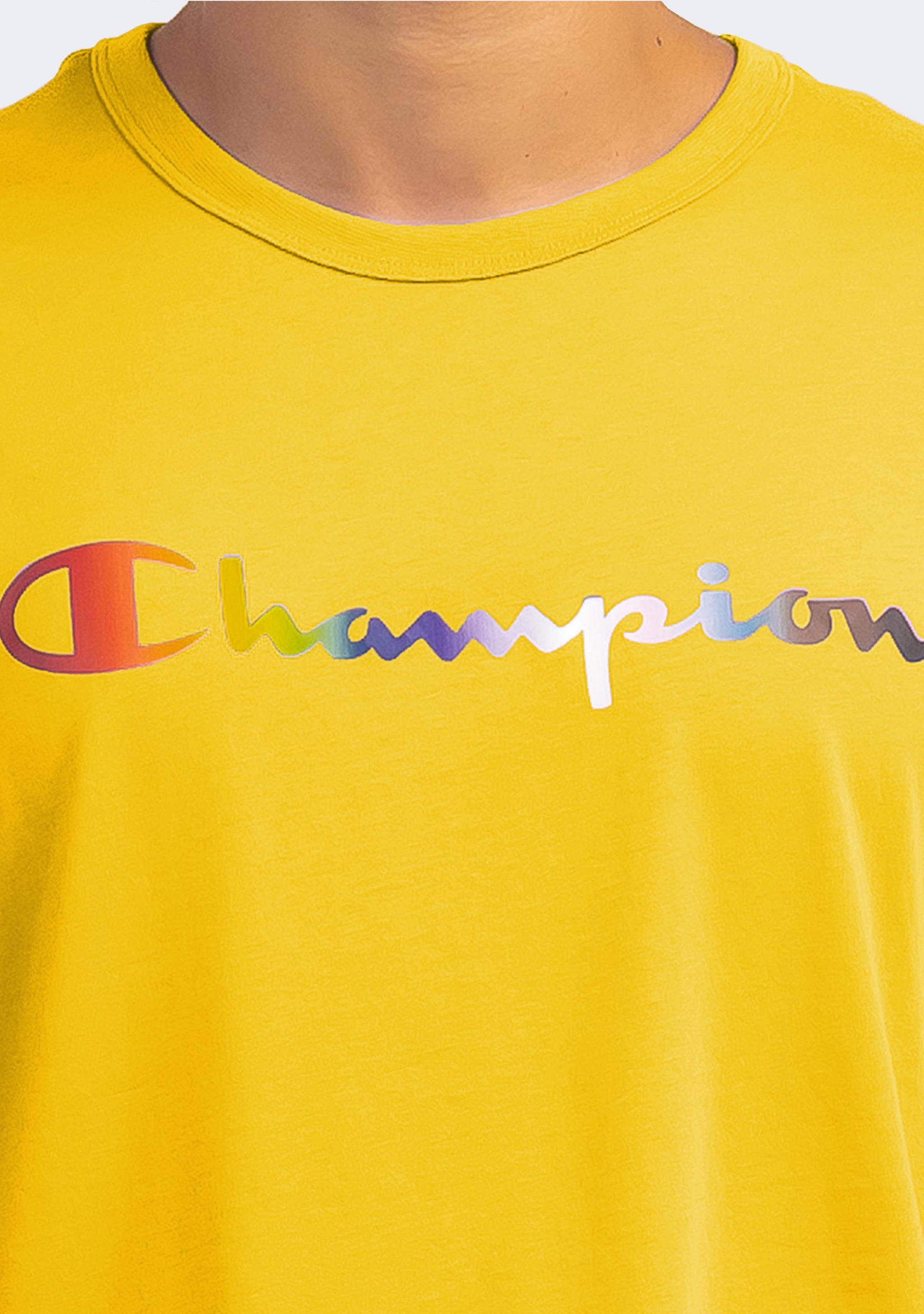 Champion Men's Athletic Pride Tee