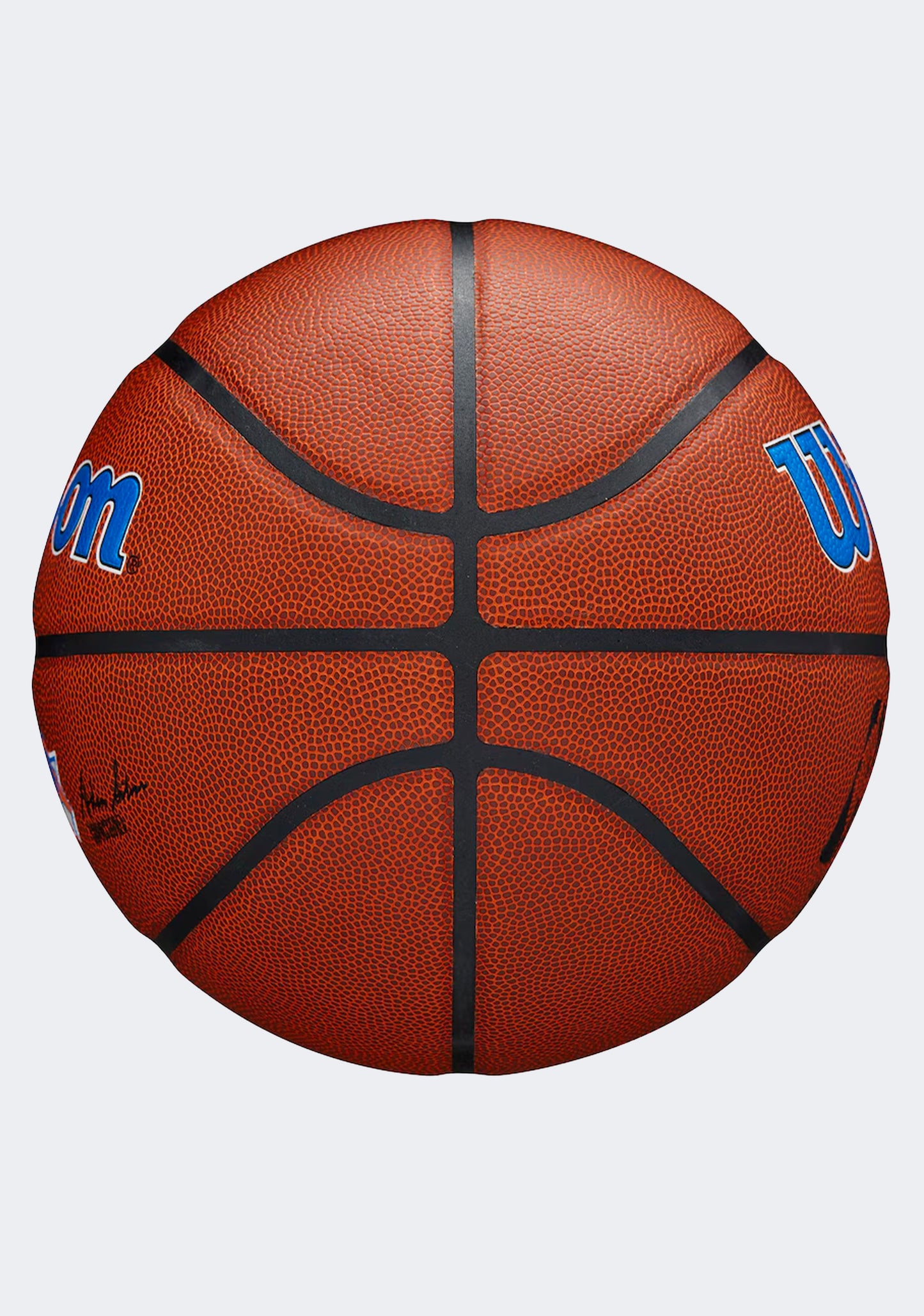 Wilson NBA Team Alliance Basketball New York Knicks