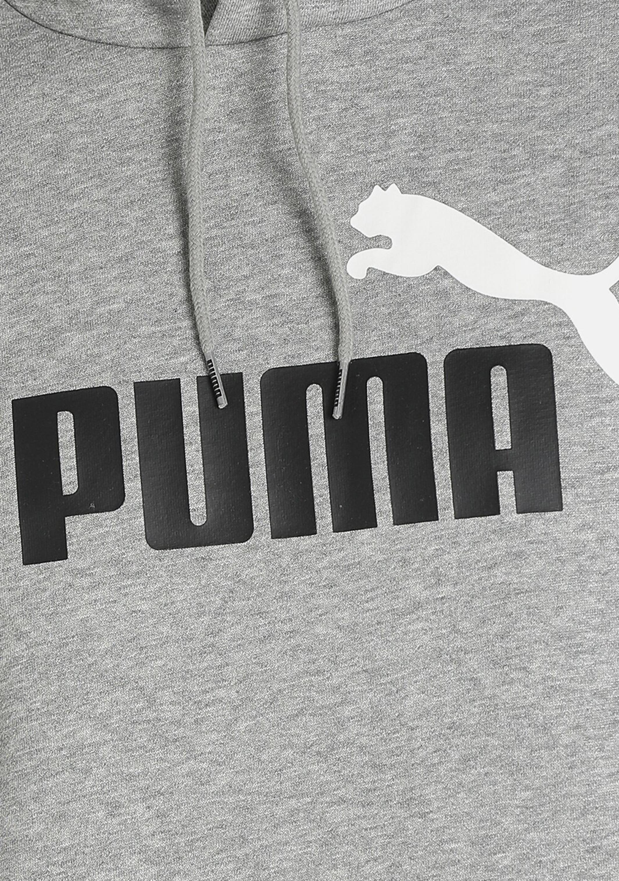 Puma Men's Essentials+ 2-Tone Big Logo Hoodie
