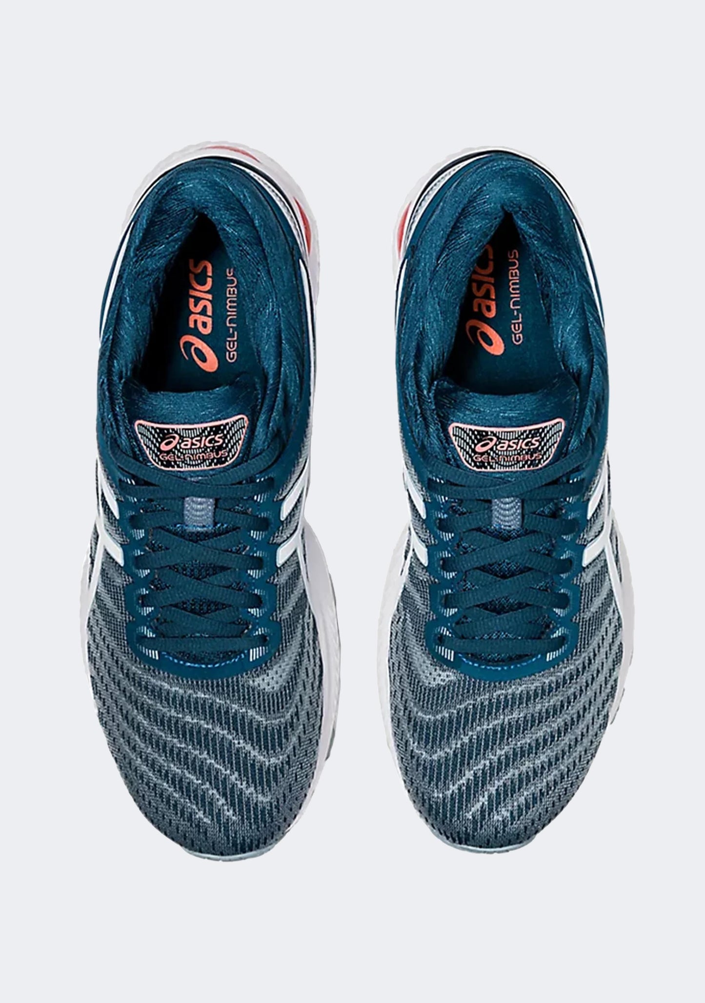 Asics Men's Gel Nimbus 22