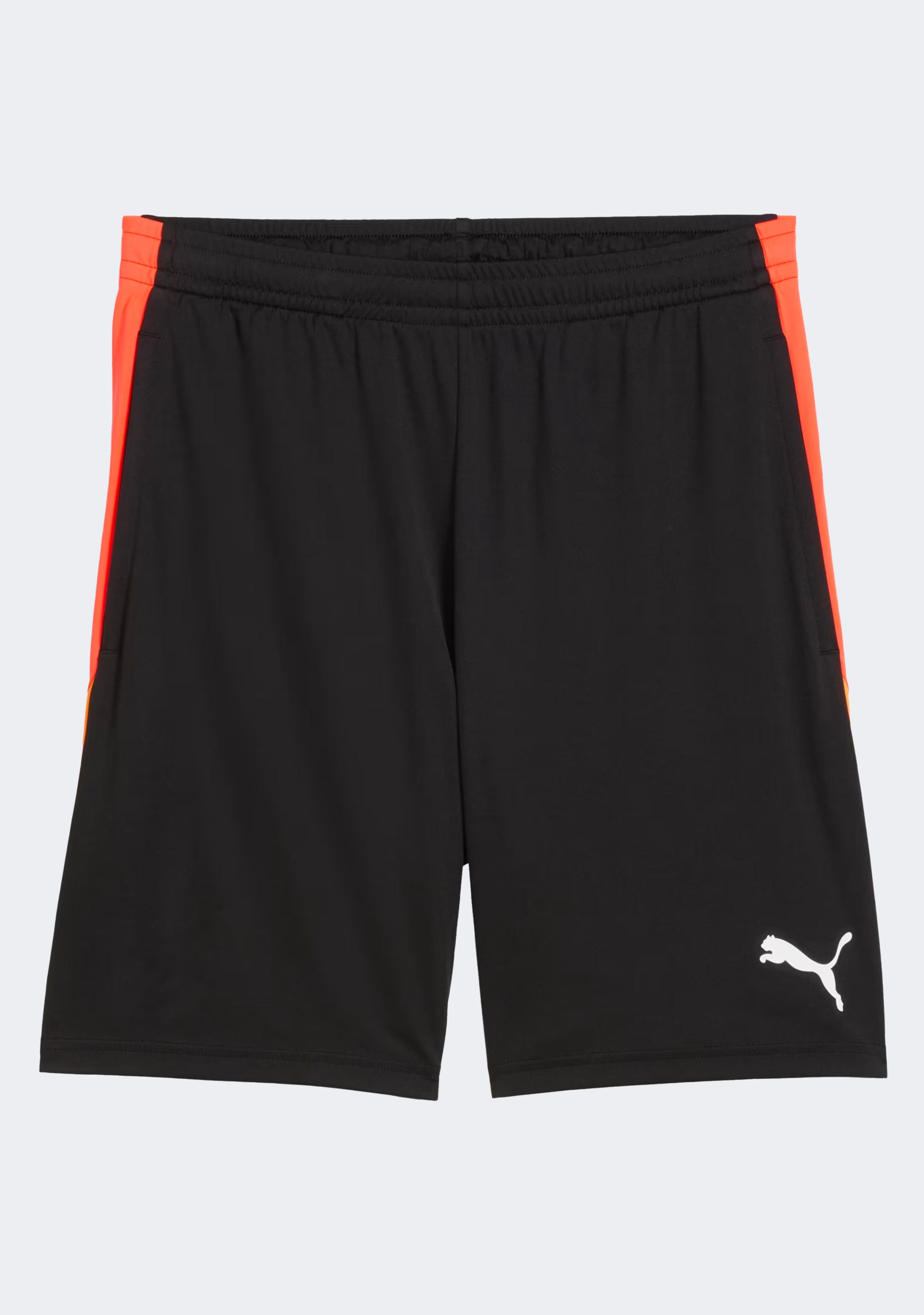 Puma Men's Individual Liga Training Shorts