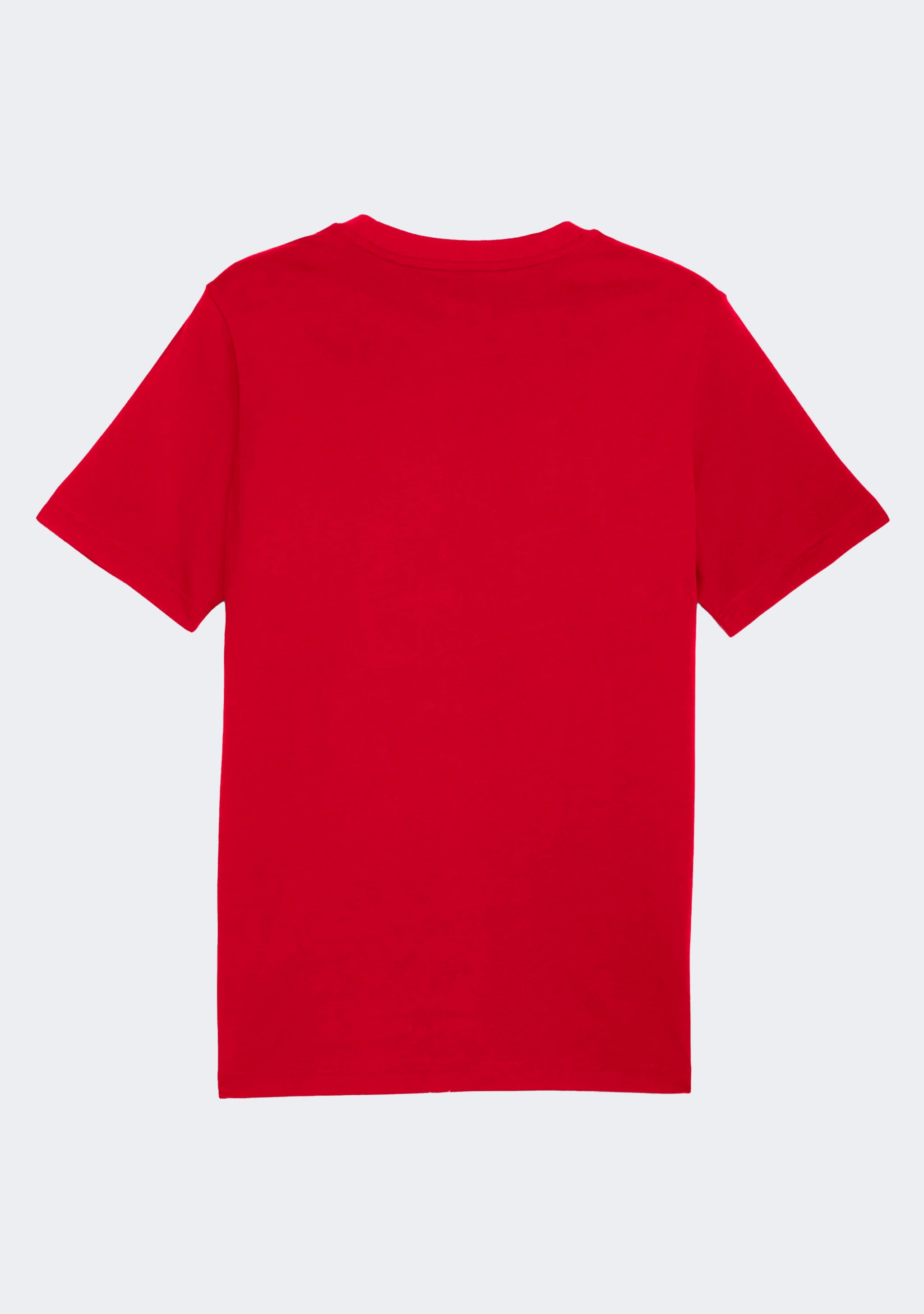 Puma Men's Graphic Wording Tee
