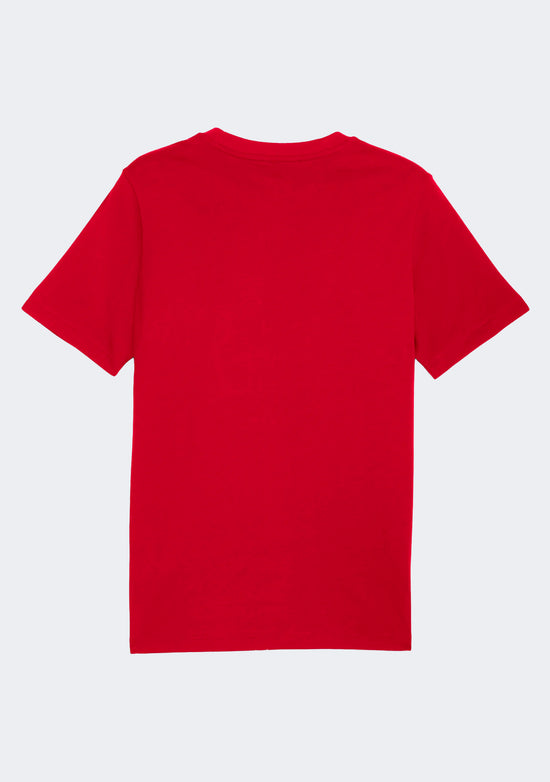 Puma Men's Graphic Wording Tee