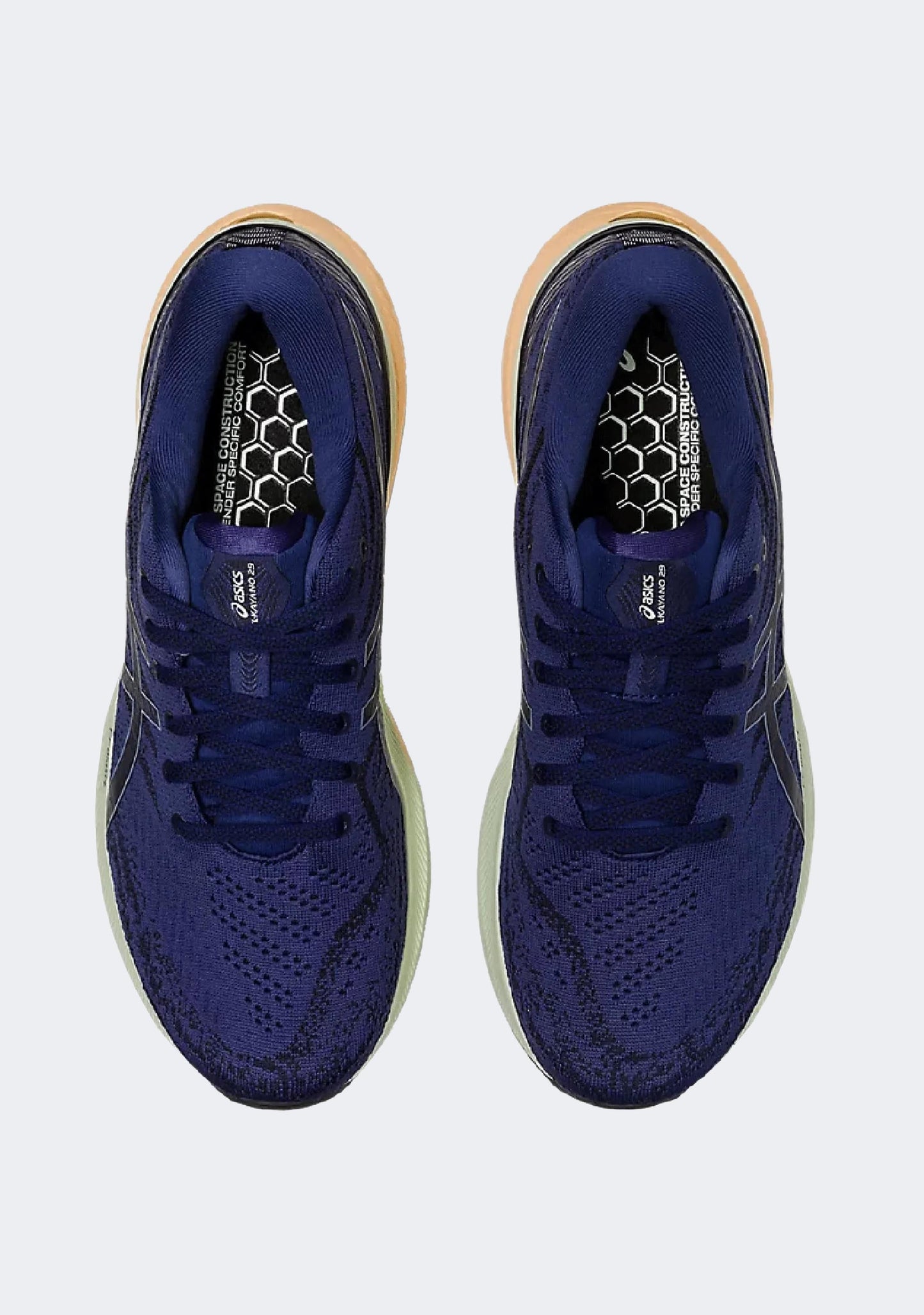 Asics Men's Gel Kayano 29