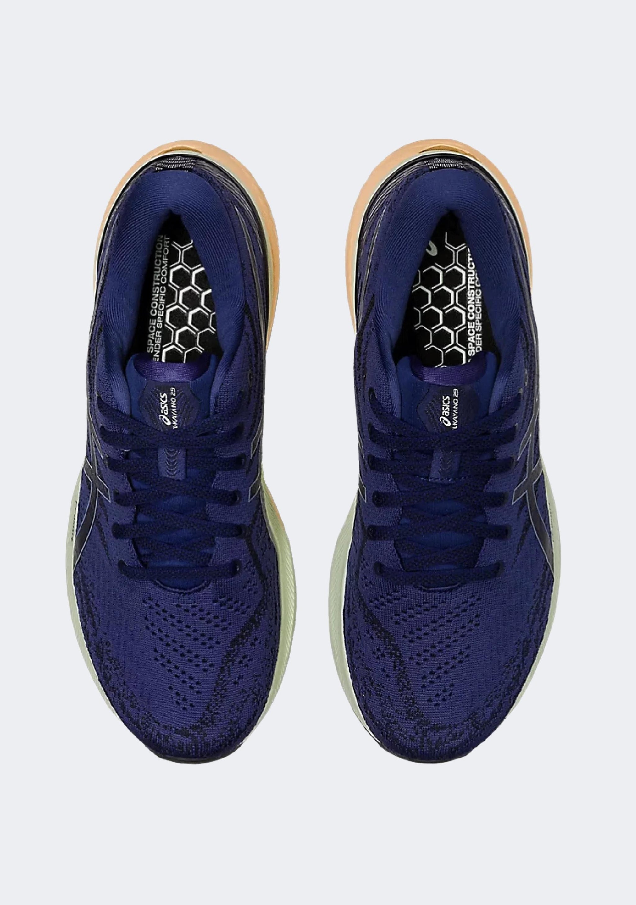 Asics Men's Gel Kayano 29