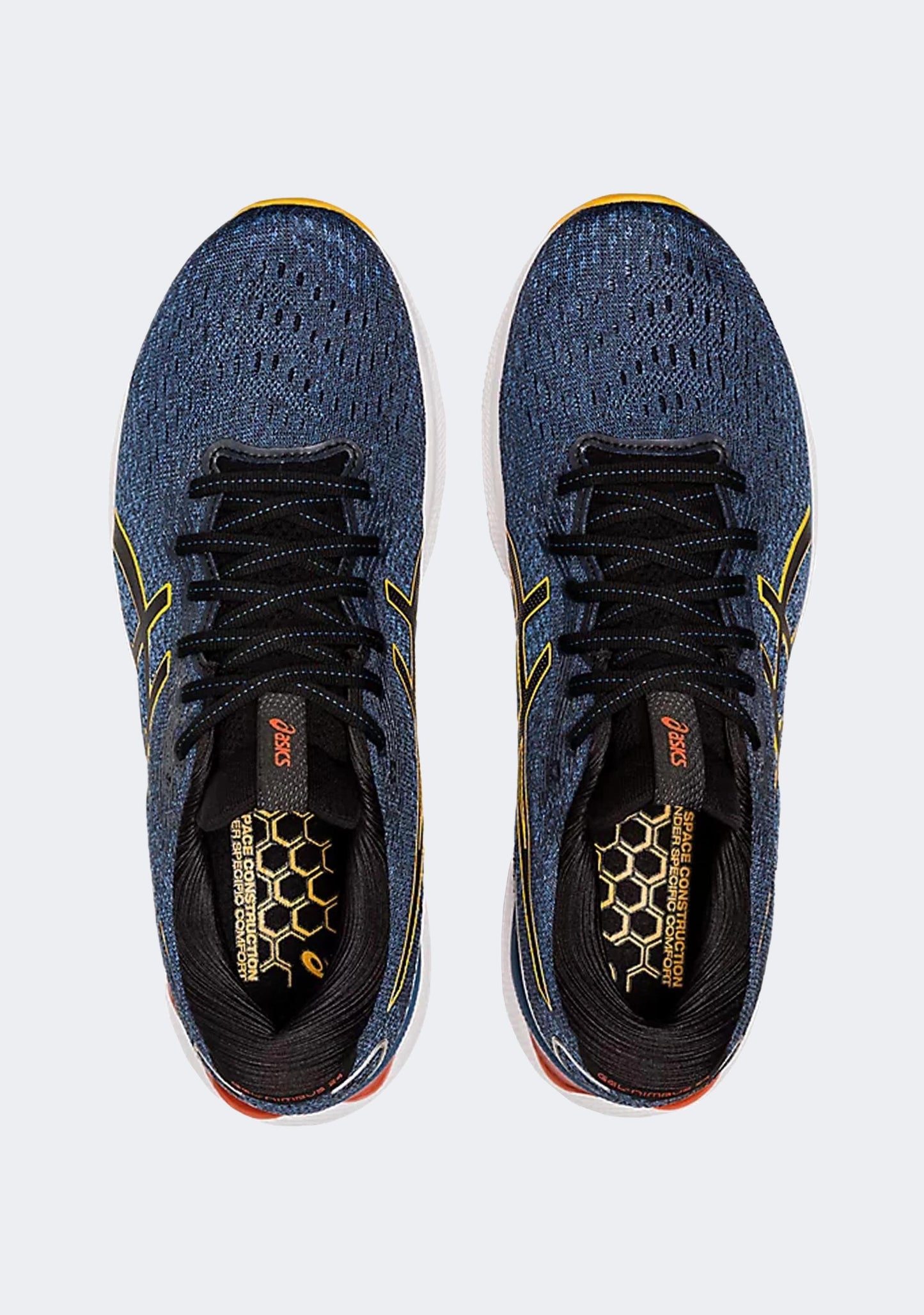 Asics Men's Gel Nimbus 24