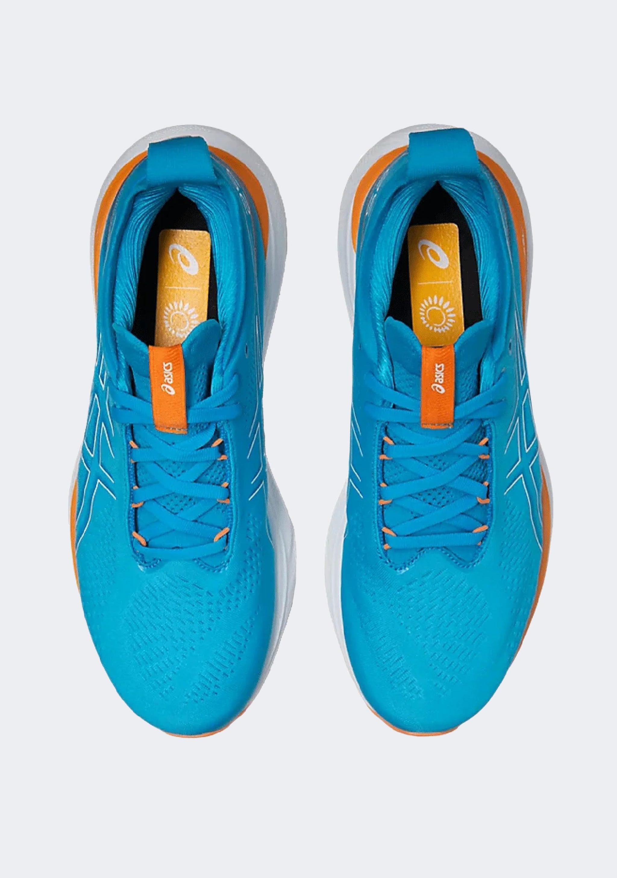 Asics Men's Gel Nimbus 25