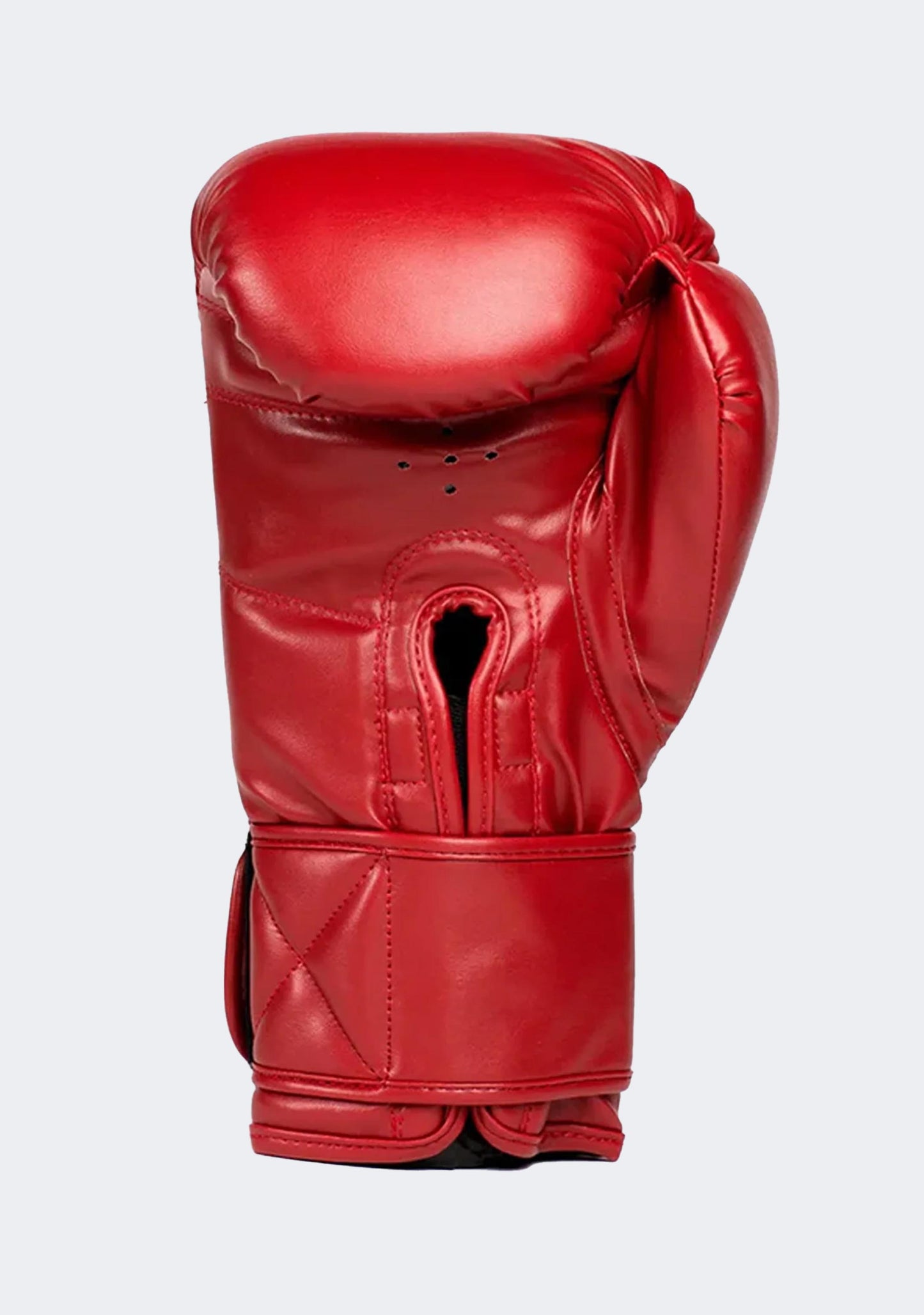 Everlast 1910 Boxing Gloves - Red