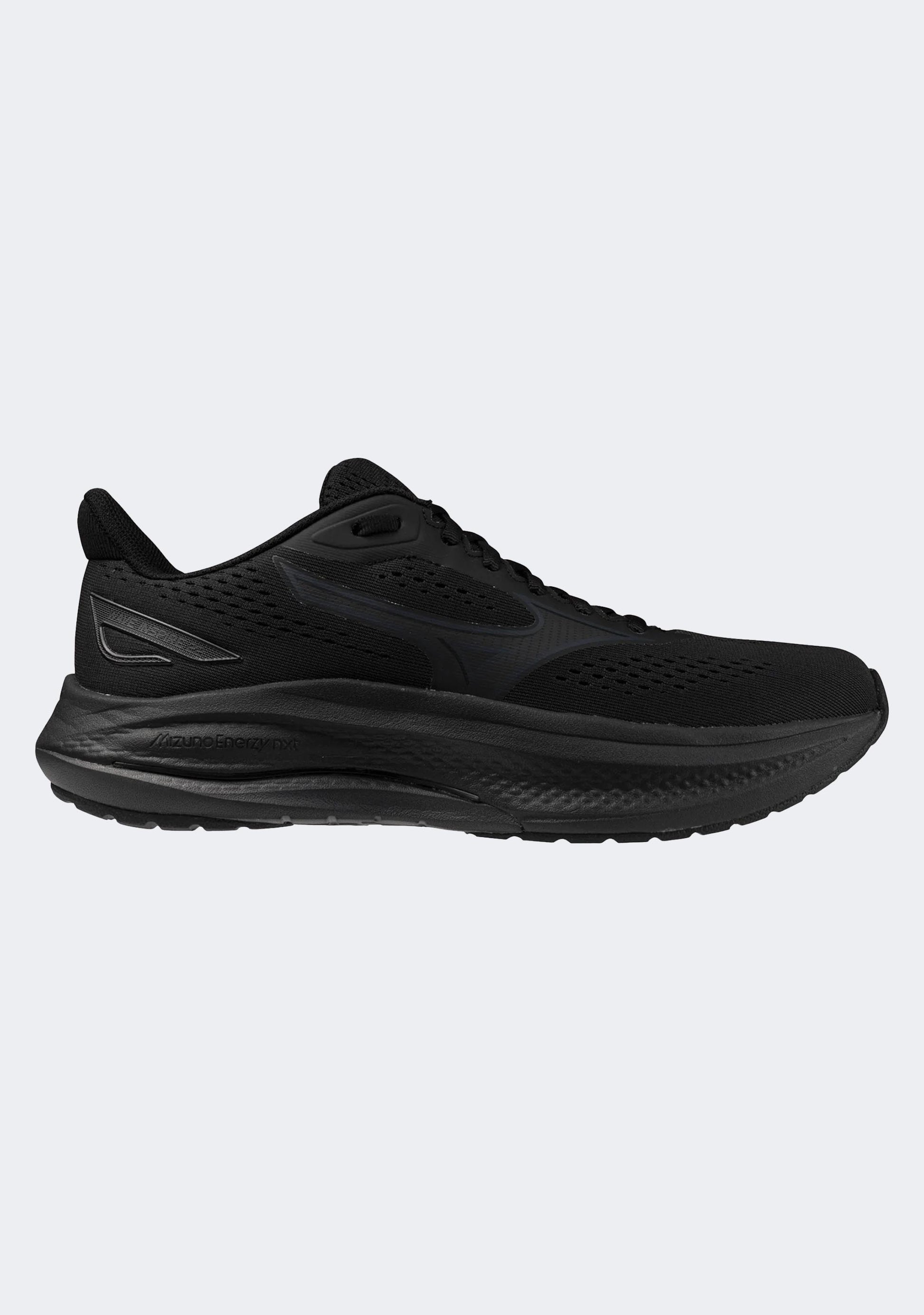 Mizuno Men's Wave Inspire 22 (2E Width)