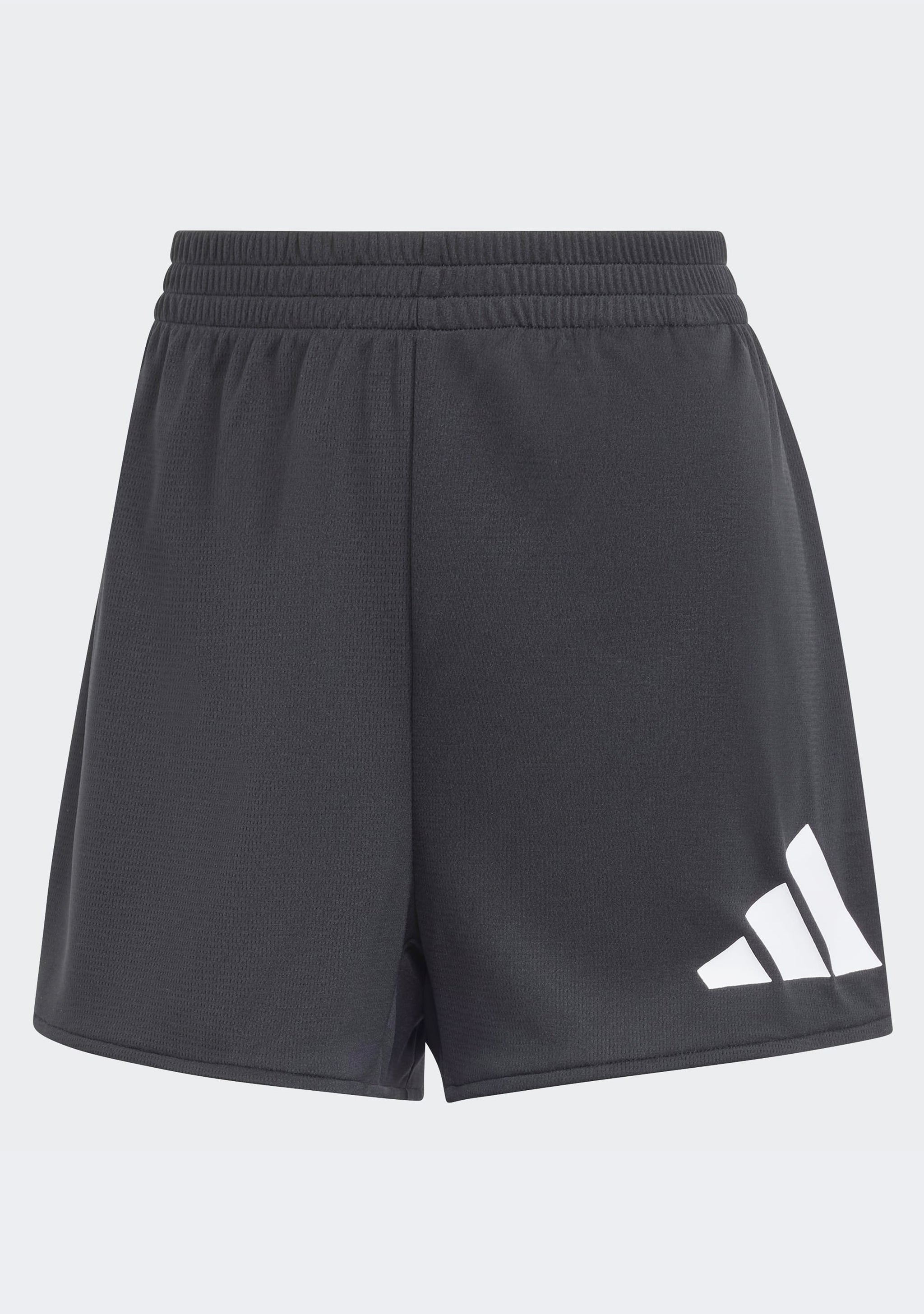 Adidas Women's Essentials Big Logo Training Shorts