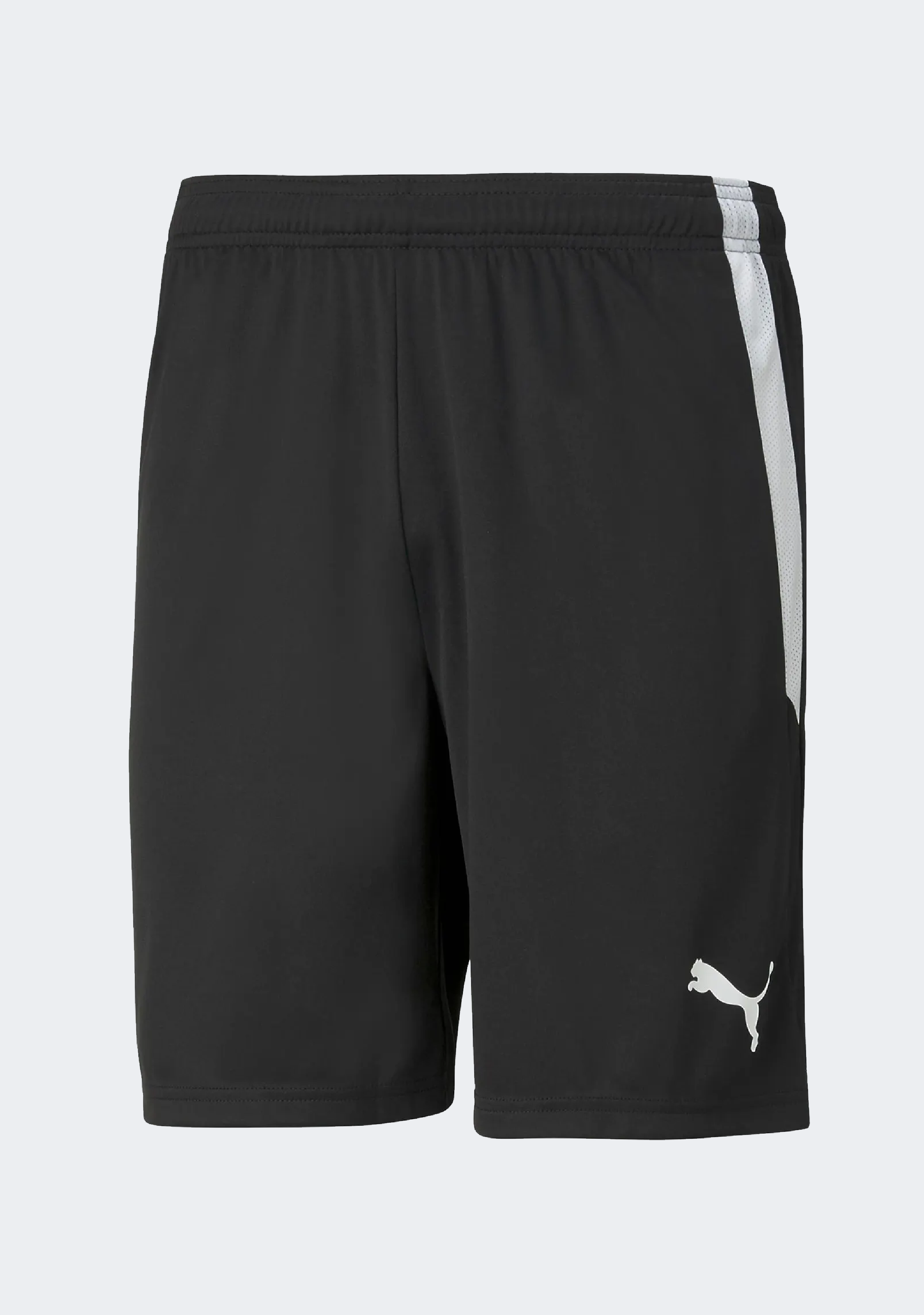 Puma Men's Team Liga Shorts