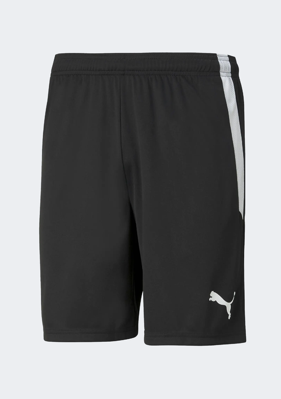Puma Men's Team Liga Shorts