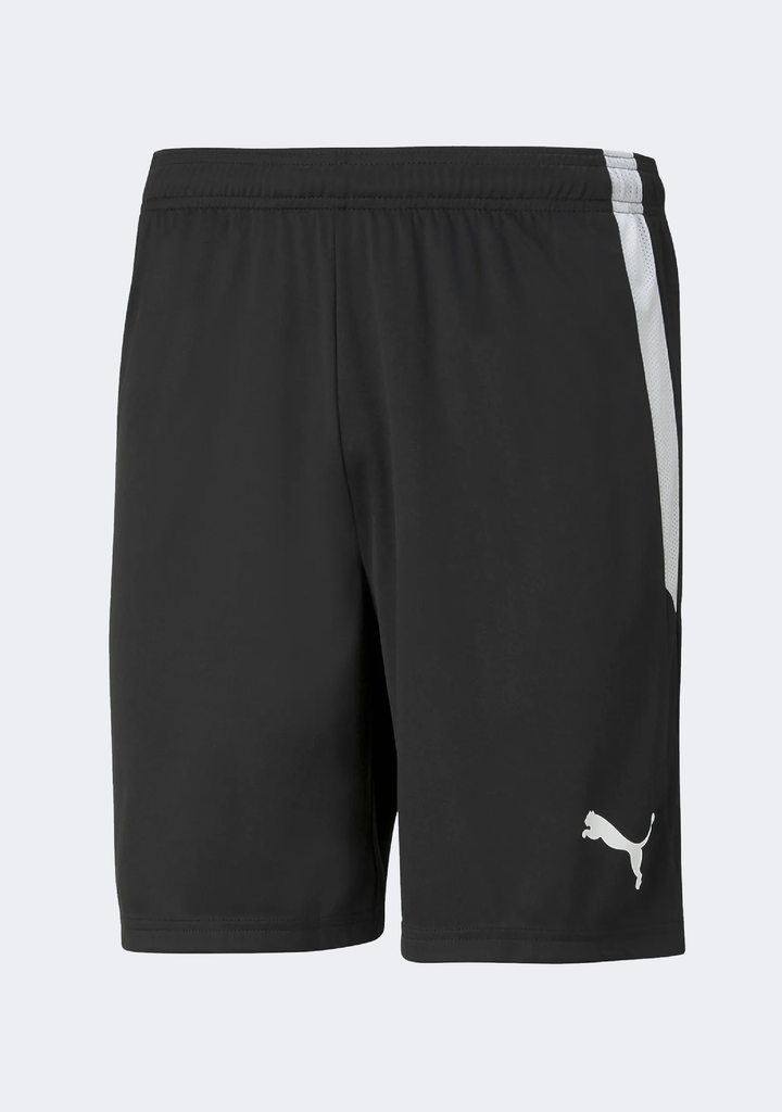 Puma Kids' Team Liga Shorts