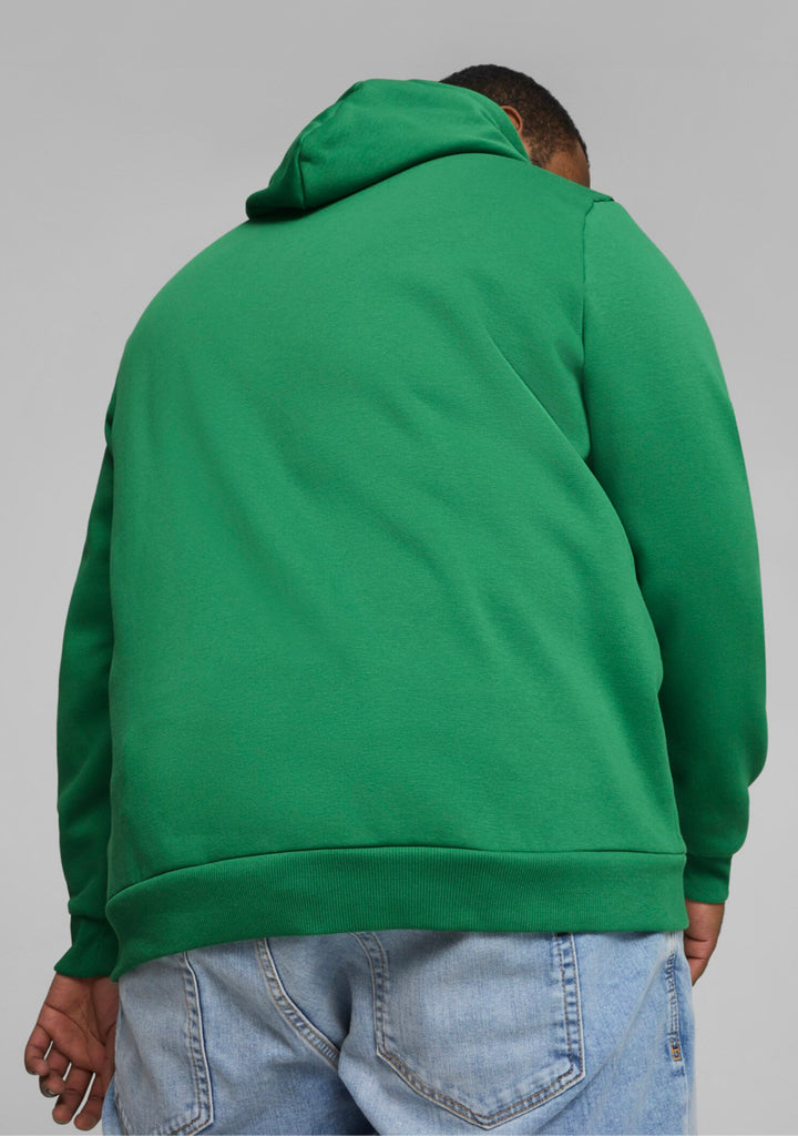 Puma Men's Essentials+ Two-Tone Big Logo Hoodie Green