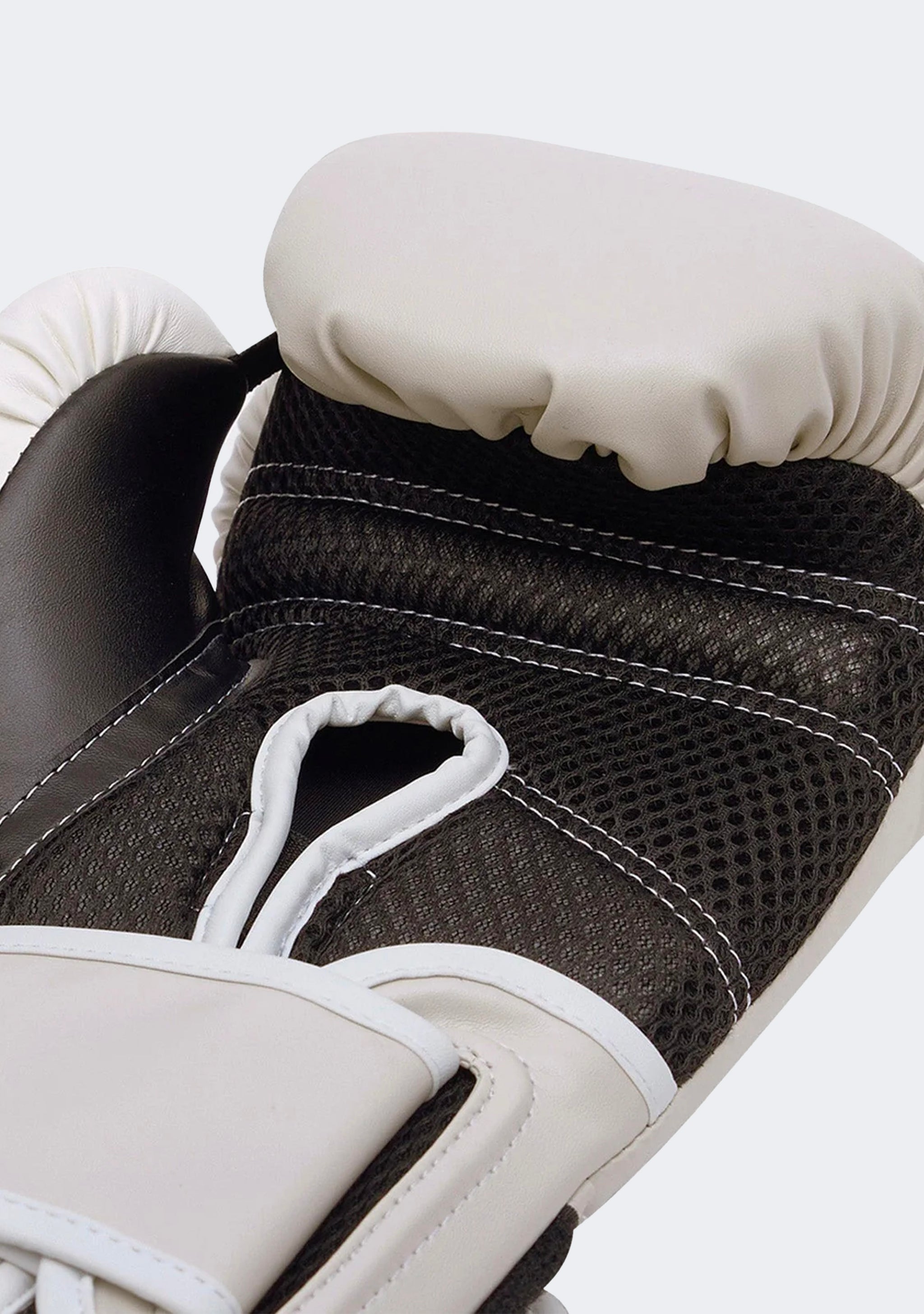 Everlast Powerlock2 Training Gloves 10oz Sable/White