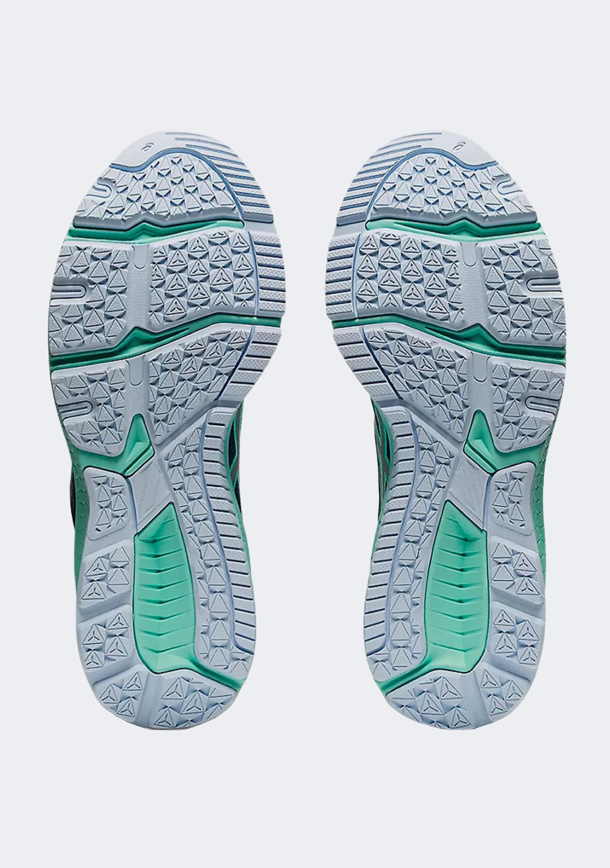 Asics Junior GT-1000 10 GS