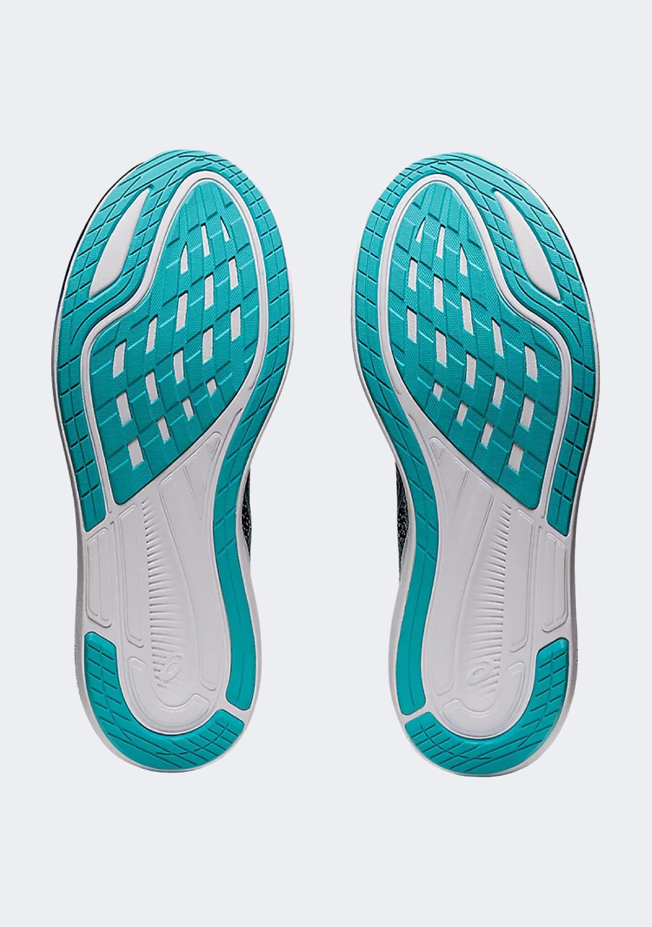 Asics Men’s Evoride 3