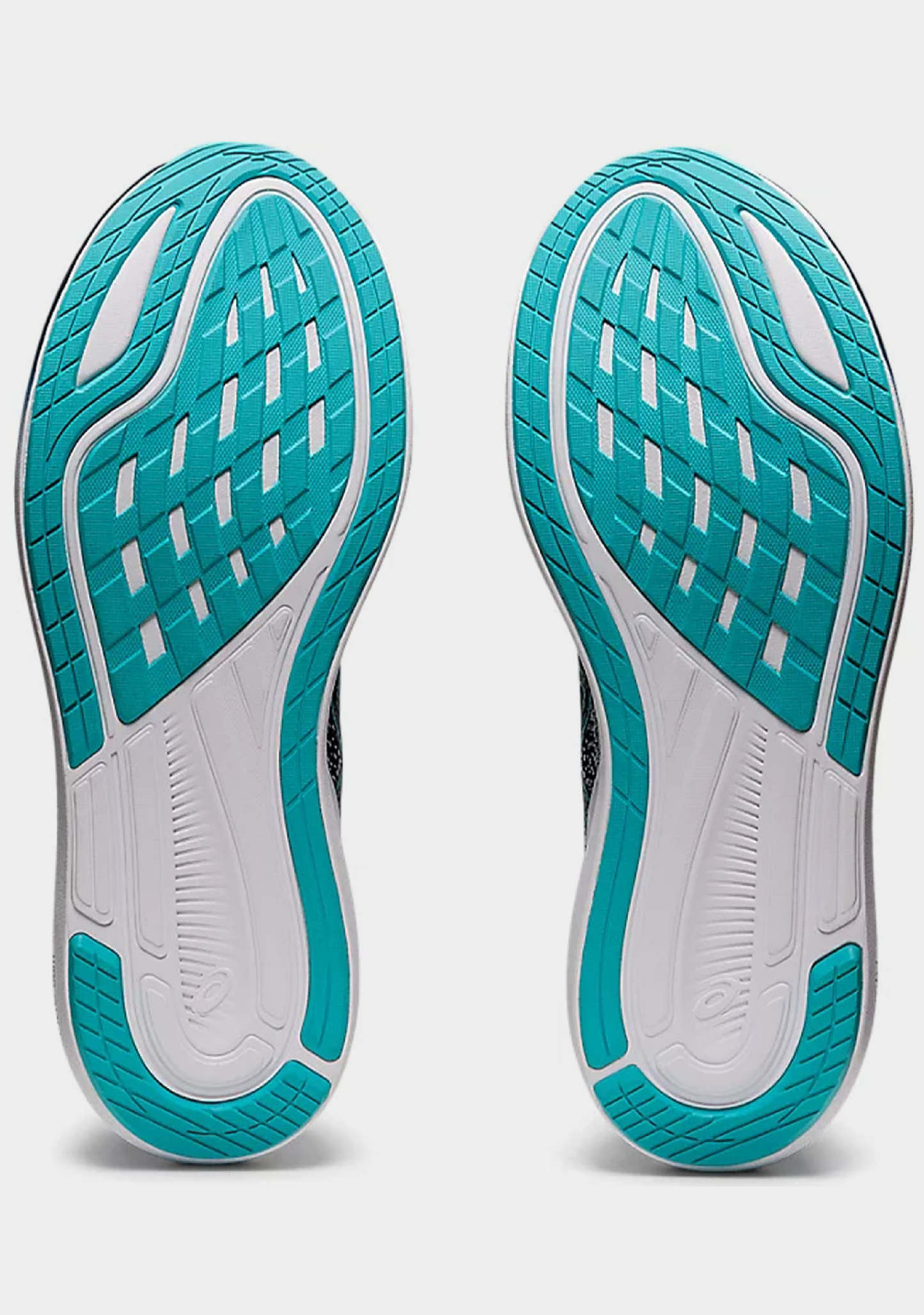 Asics Men’s Evoride 3