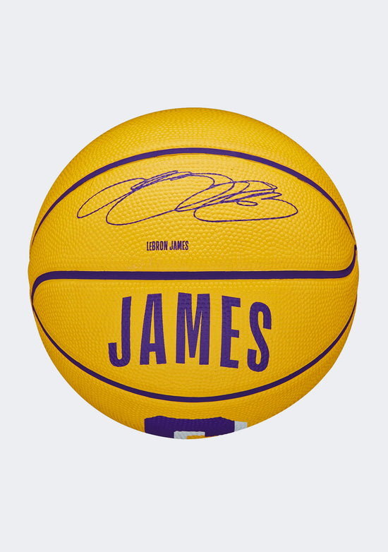 Wilson NBA Player Icon Mini Basketball LeBron James
