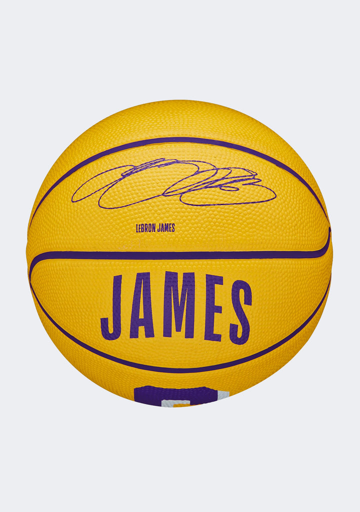 Wilson NBA Player Icon Mini Basketball LeBron James