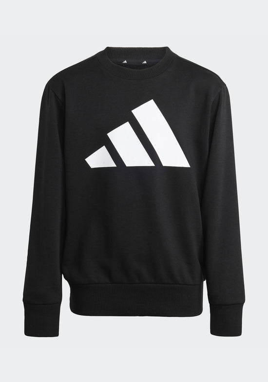 Adidas Kids' Big Logo Fleece Joggers and Crew Top Set