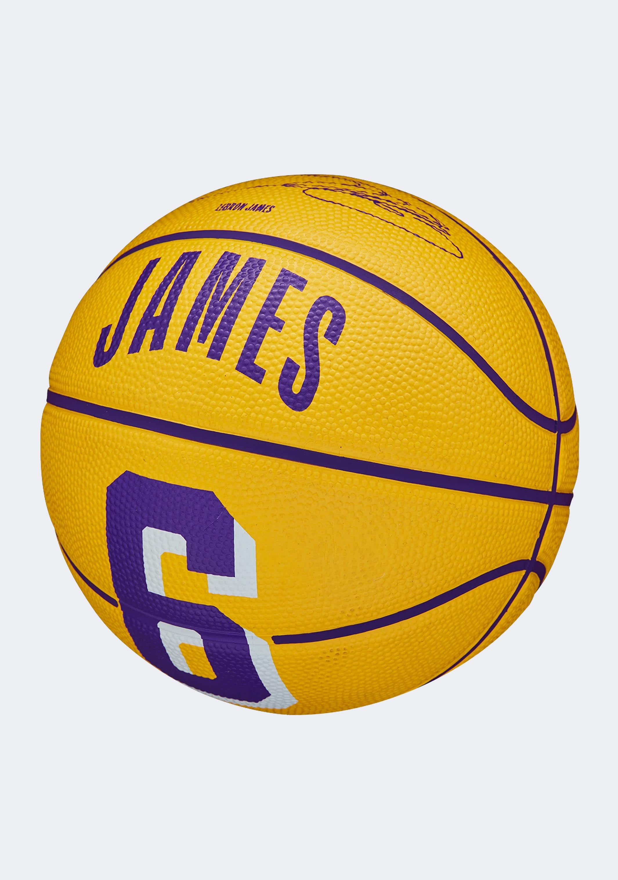 Wilson NBA Player Icon Mini Basketball LeBron James