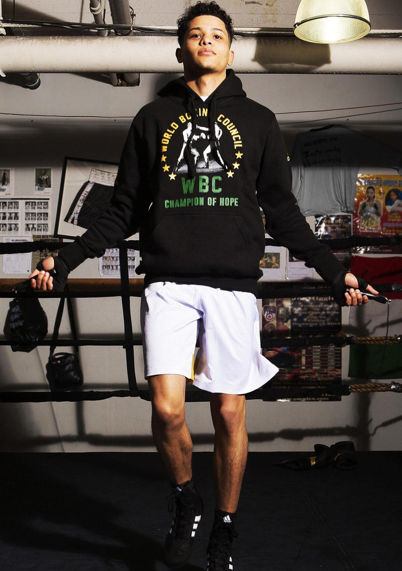 Champion heritage hoodie mens cheap