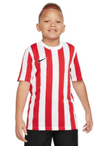 Nike Youth Striped Division IV Jersey <BR> CW3819 104