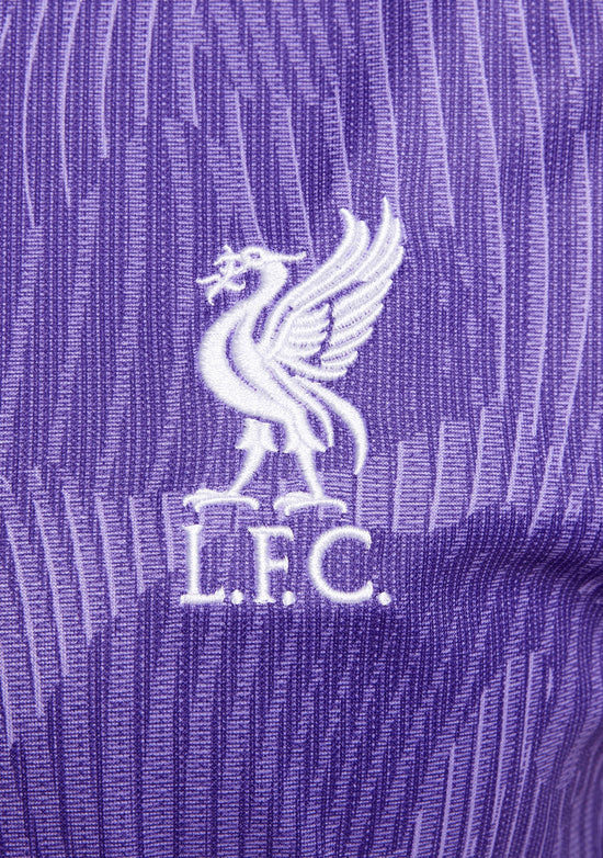 Nike Women's Liverpool F.C. 2023/24 Stadium Third Dri-FIT Jersey <br> DX9835 568