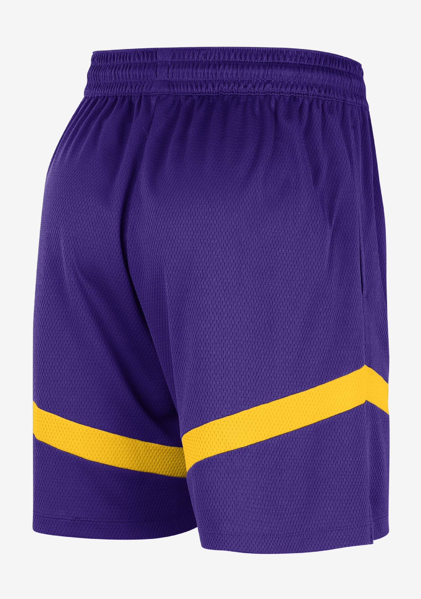Nike Men s Los Angeles Lakers Icon Practice Shorts DZ3722 504 Jim Kidd Sports