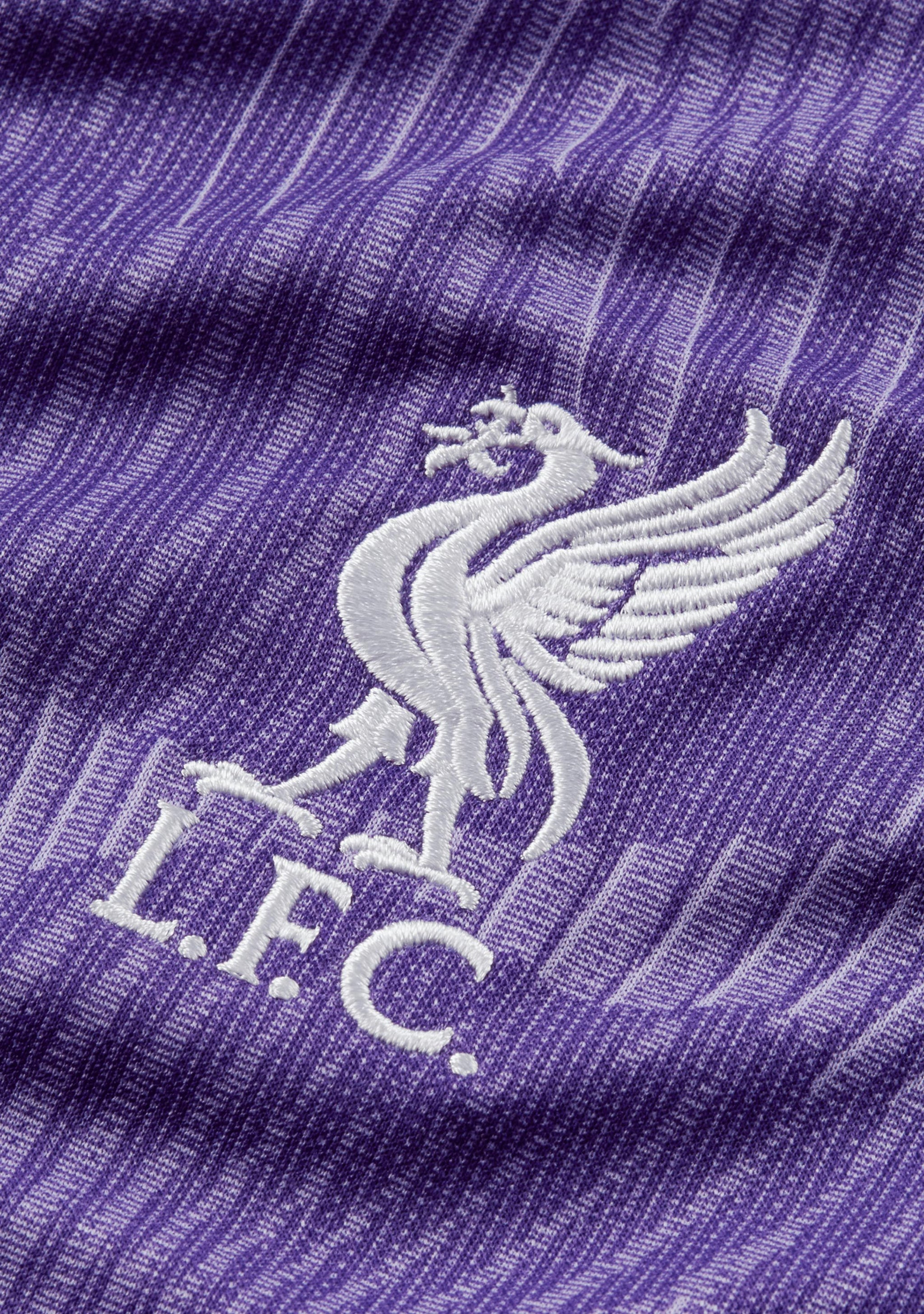 Nike Women's Liverpool F.C. 2023/24 Stadium Third Dri-FIT Jersey <br> DX9835 568