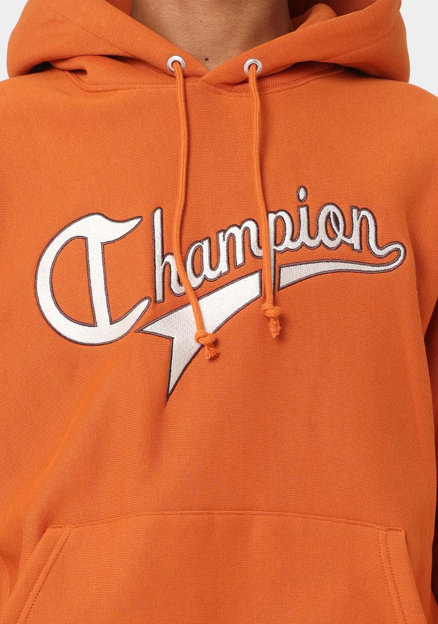 Champion Men's Reverse Weave Collegiate Cursive Script Hoodie