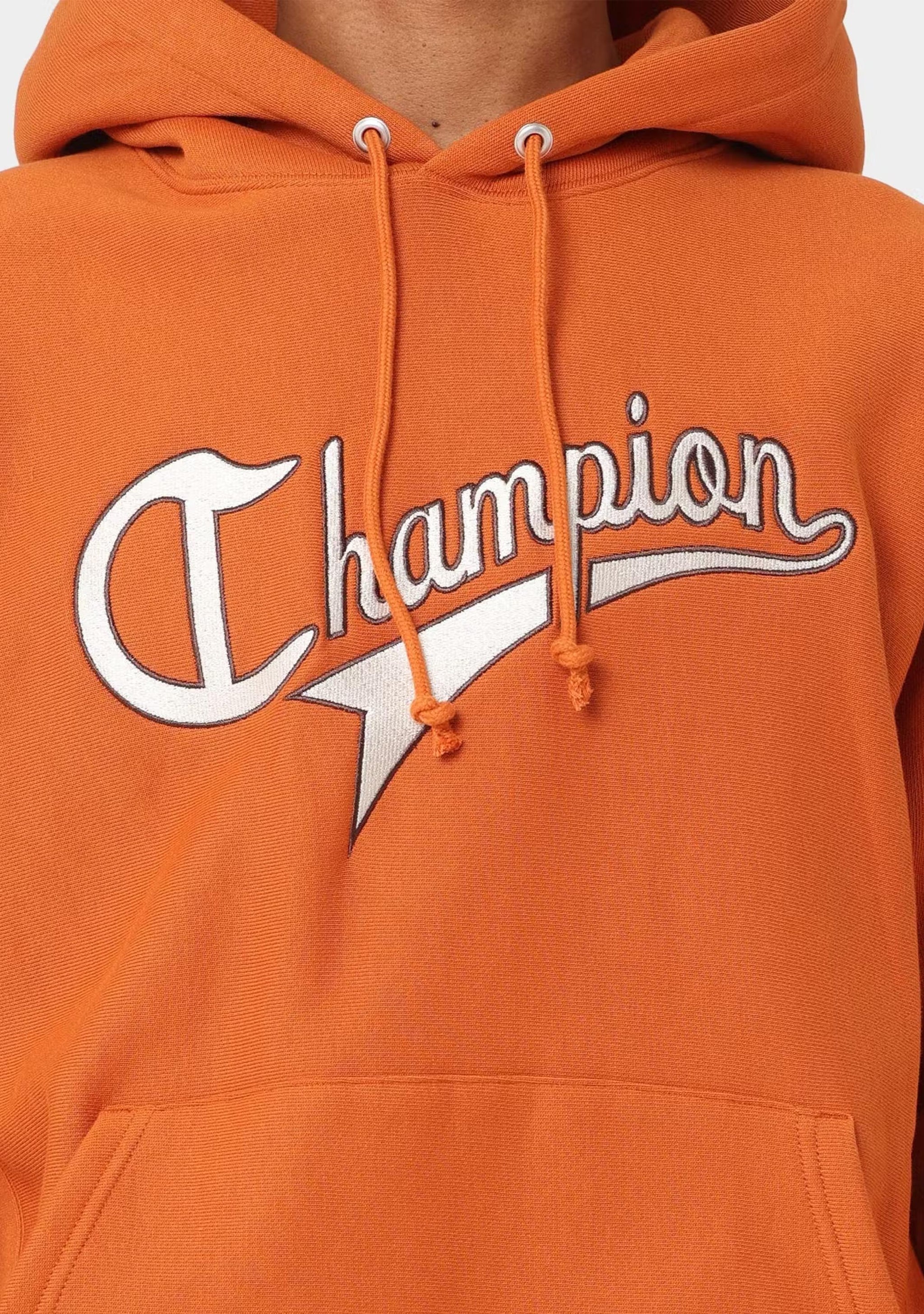 Champion Men's Reverse Weave Collegiate Cursive Script Hoodie