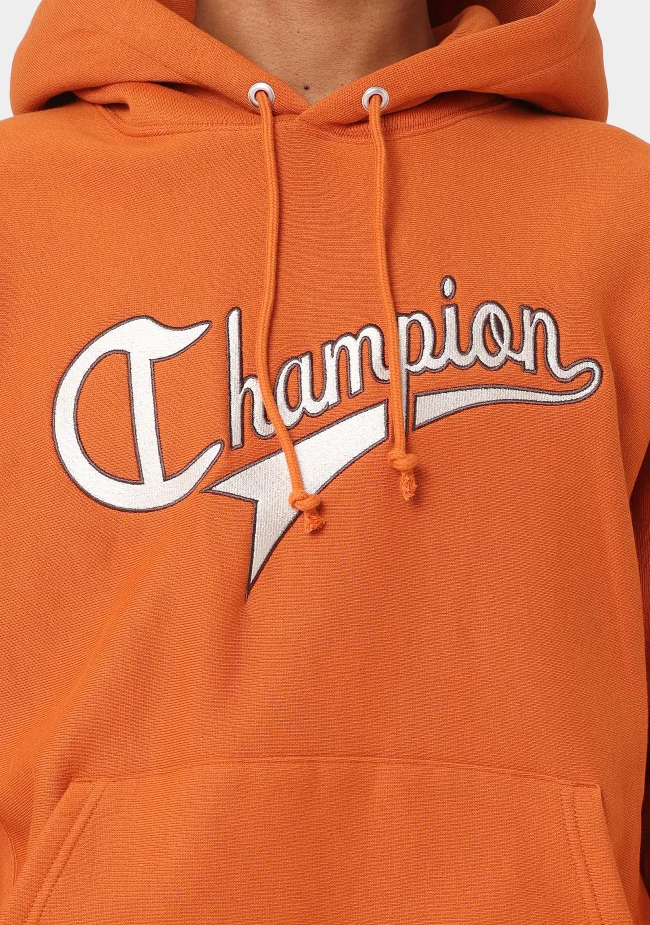 Champion Men's Reverse Weave Collegiate Cursive Script Hoodie