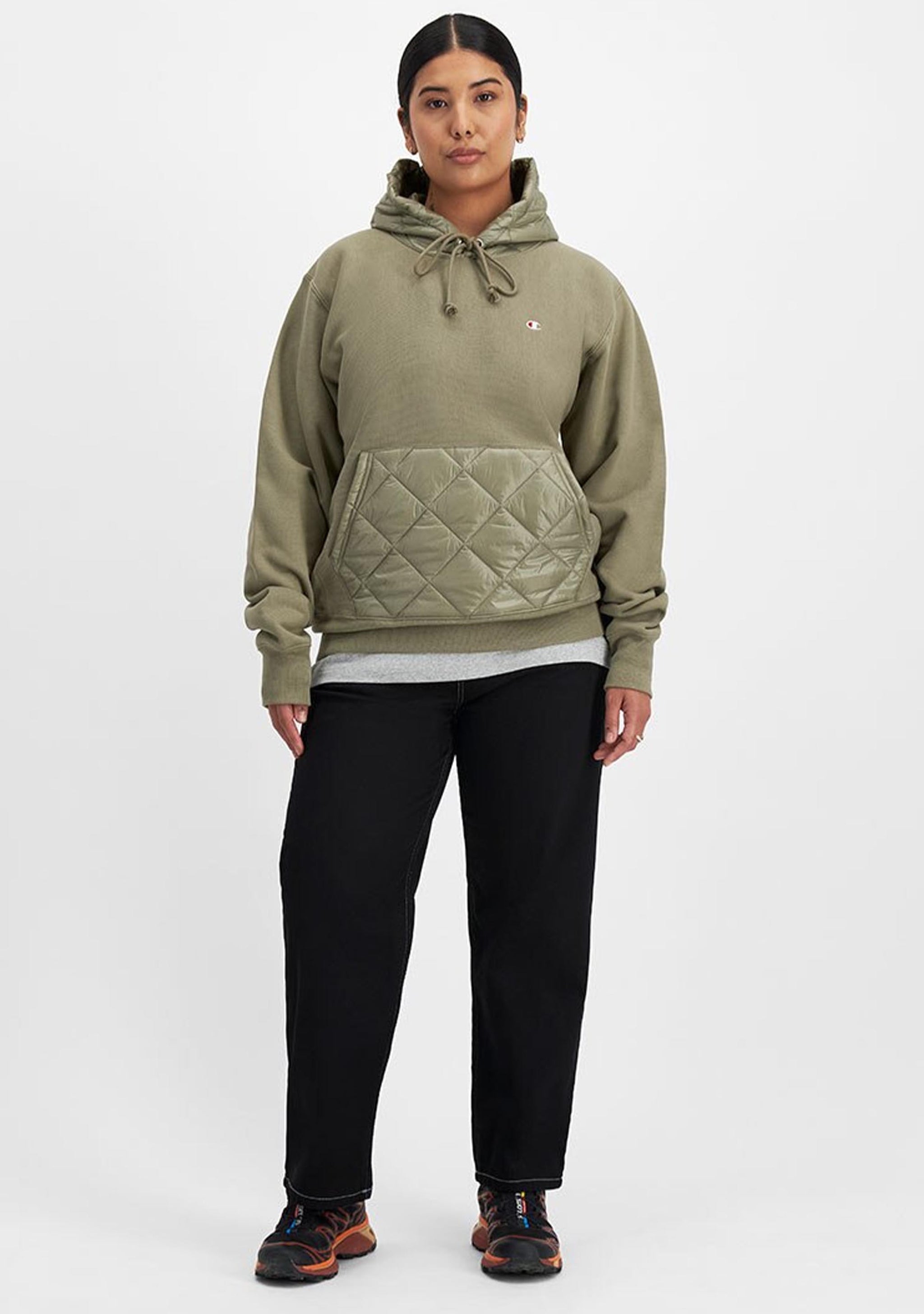 Champion Men's Lifestyle Puffer Hoodie LAN