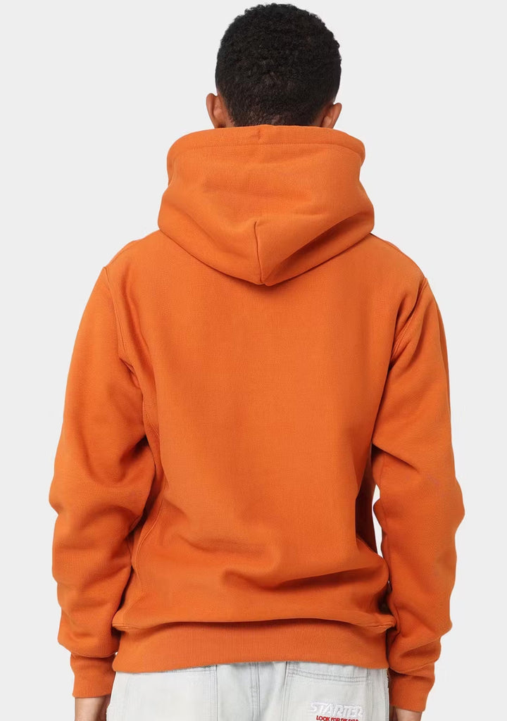 Champion Men's Reverse Weave Collegiate Cursive Script Hoodie