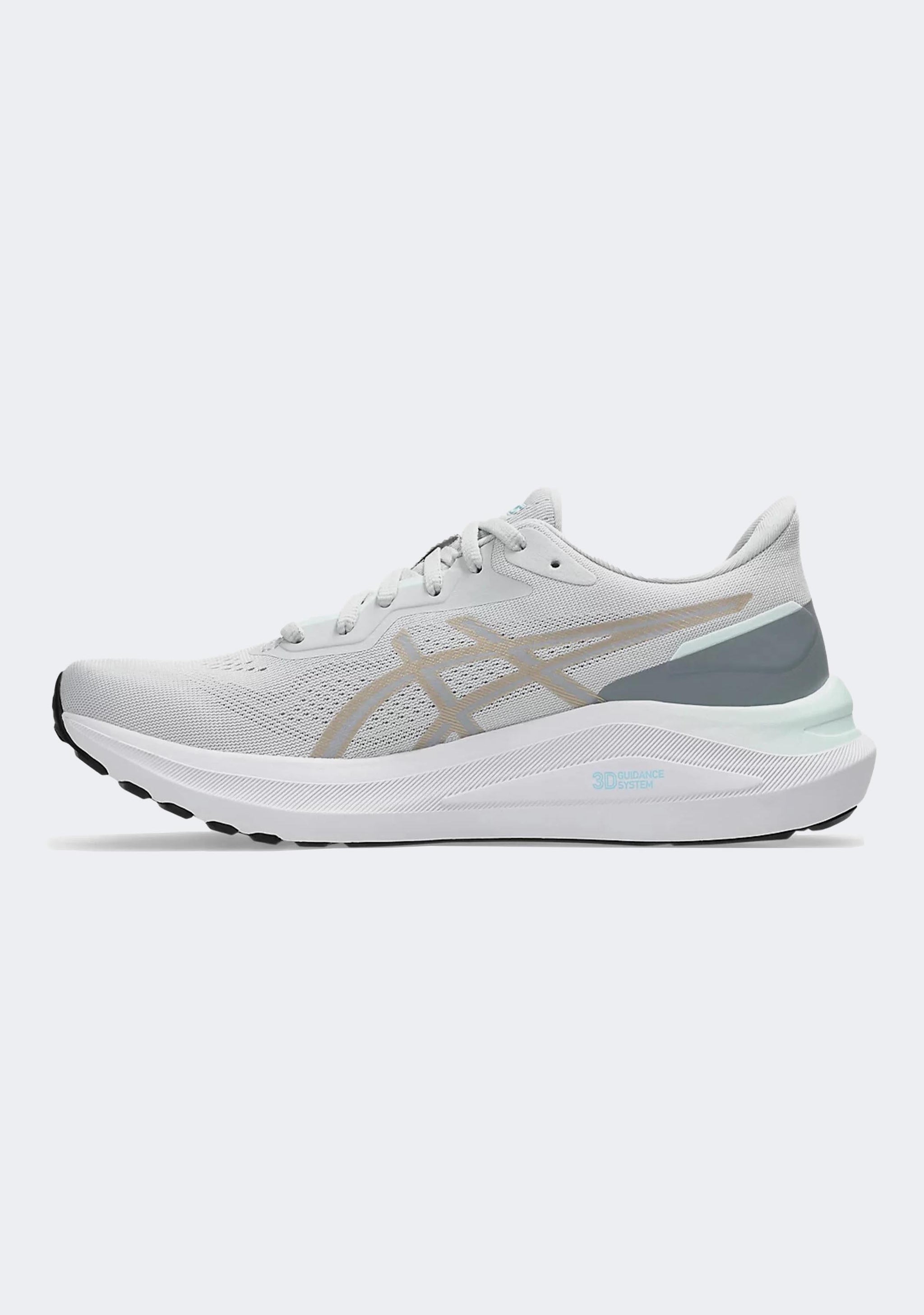 Asics Women's GT 1000 13