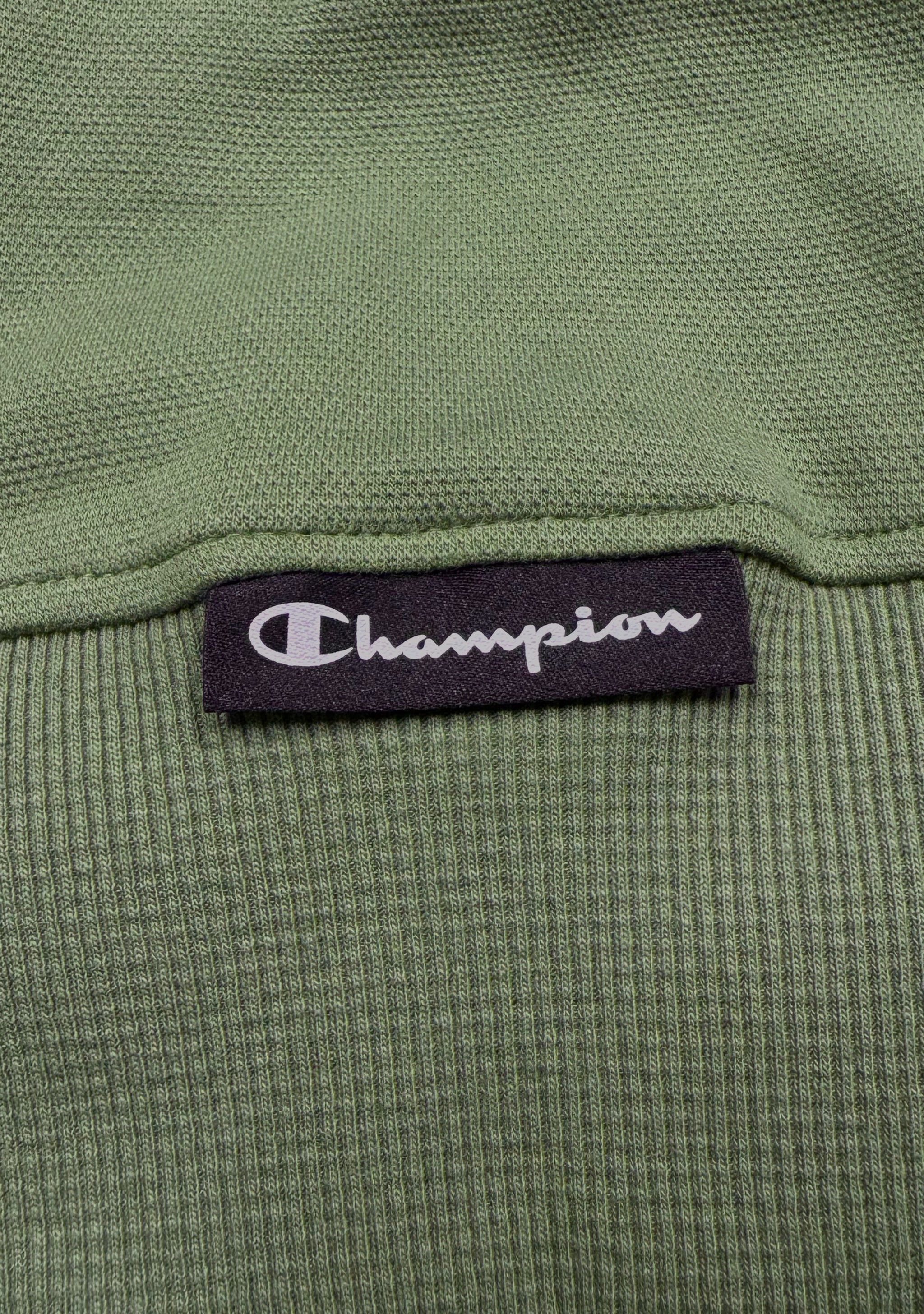 Champion Men's Rochester Graphic Hoodie