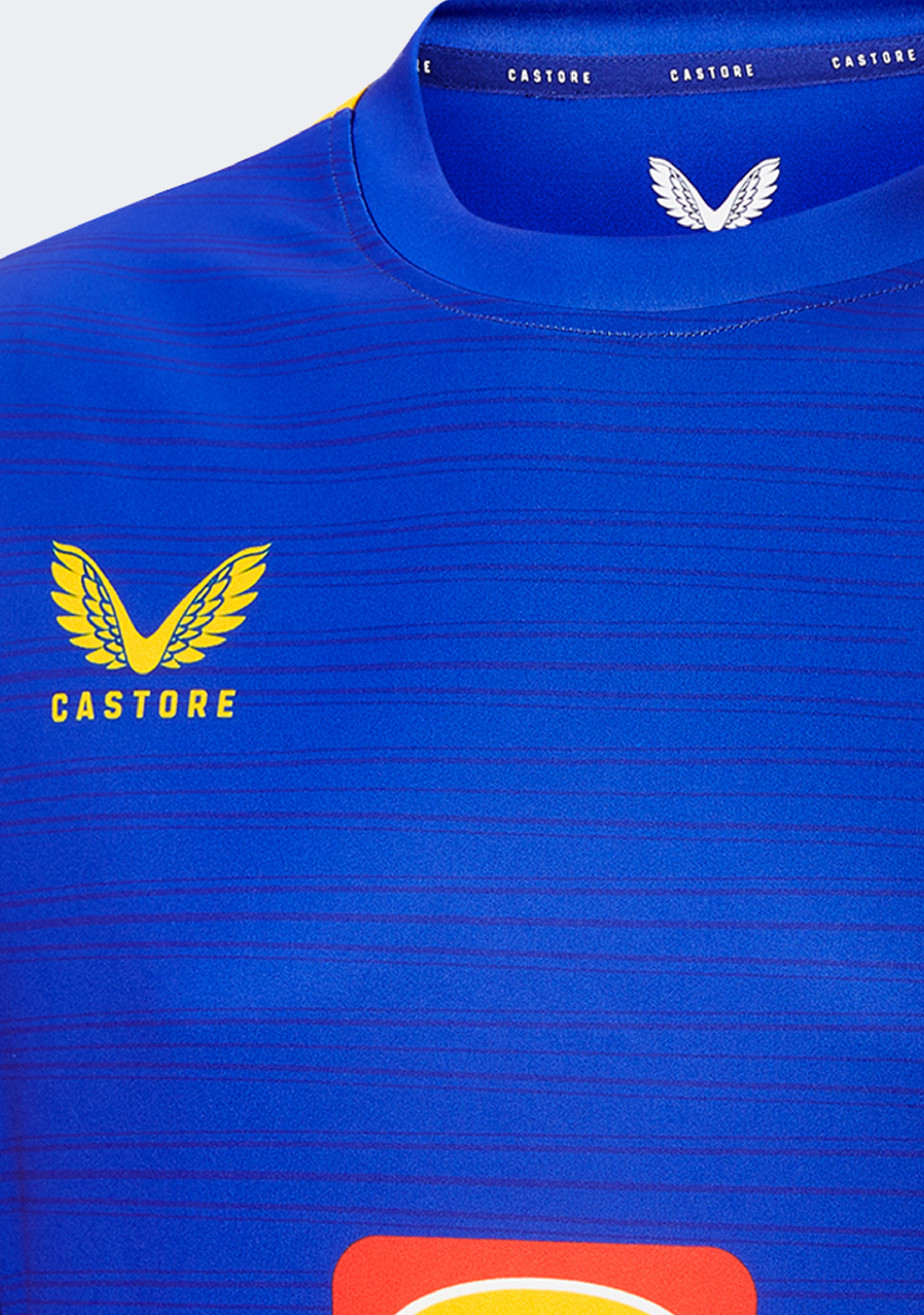 Castore West Coast Eagles Mens Training Tee 2022