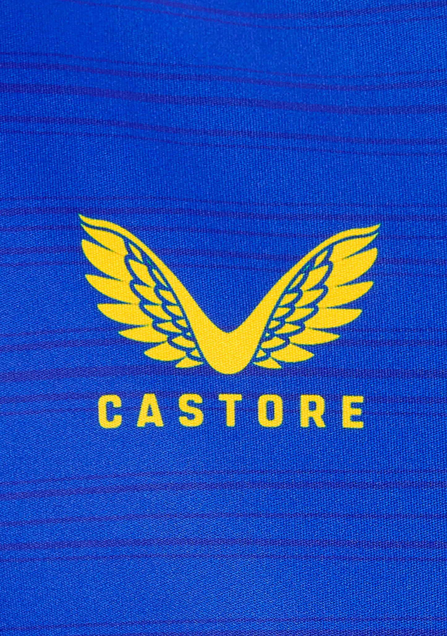 Castore West Coast Eagles Mens Training Tee 2022