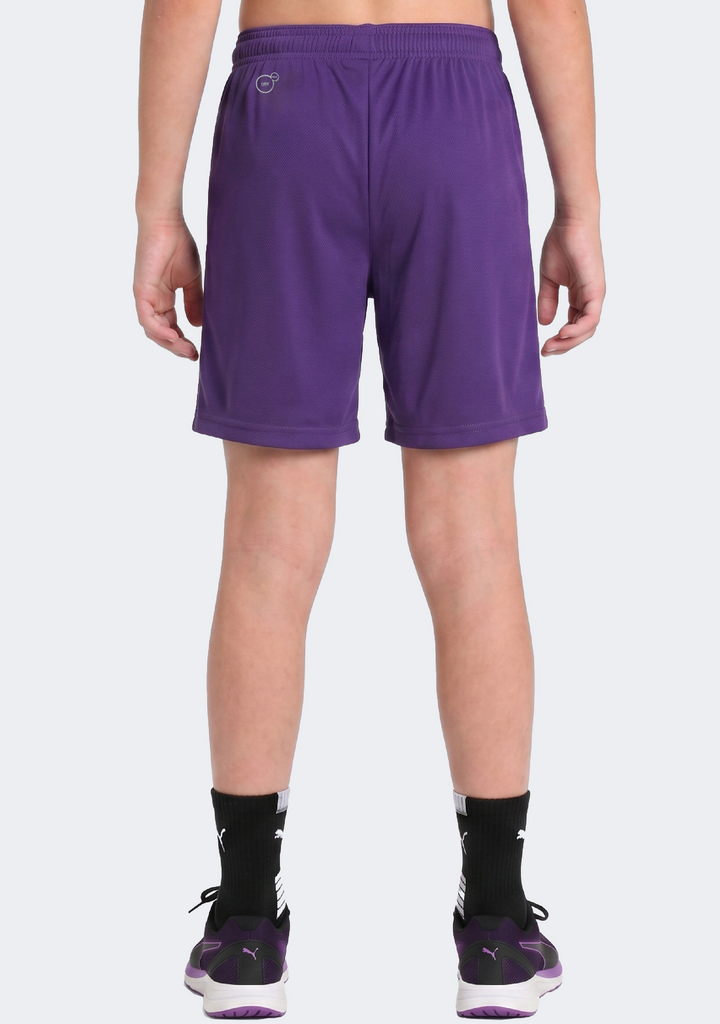 Puma Kids' Liga Core Shorts